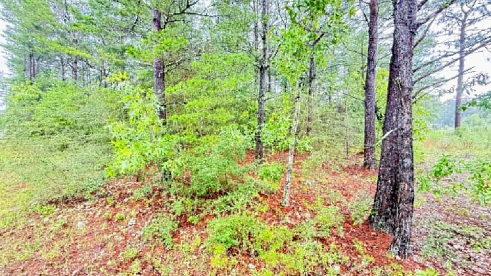 Oakwood Hills Unit 1 - Land