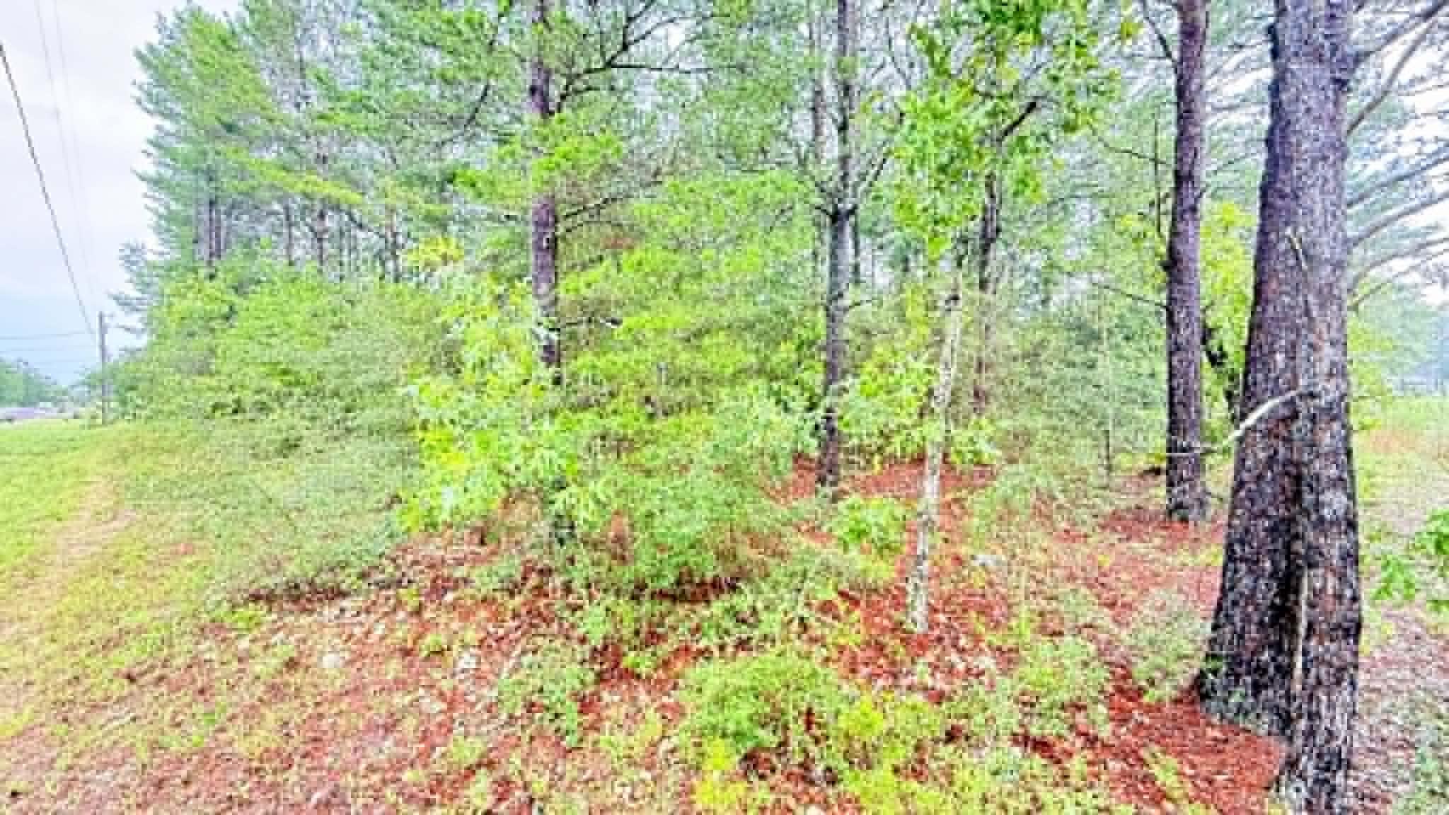 Oakwood Hills Unit 1 - Land