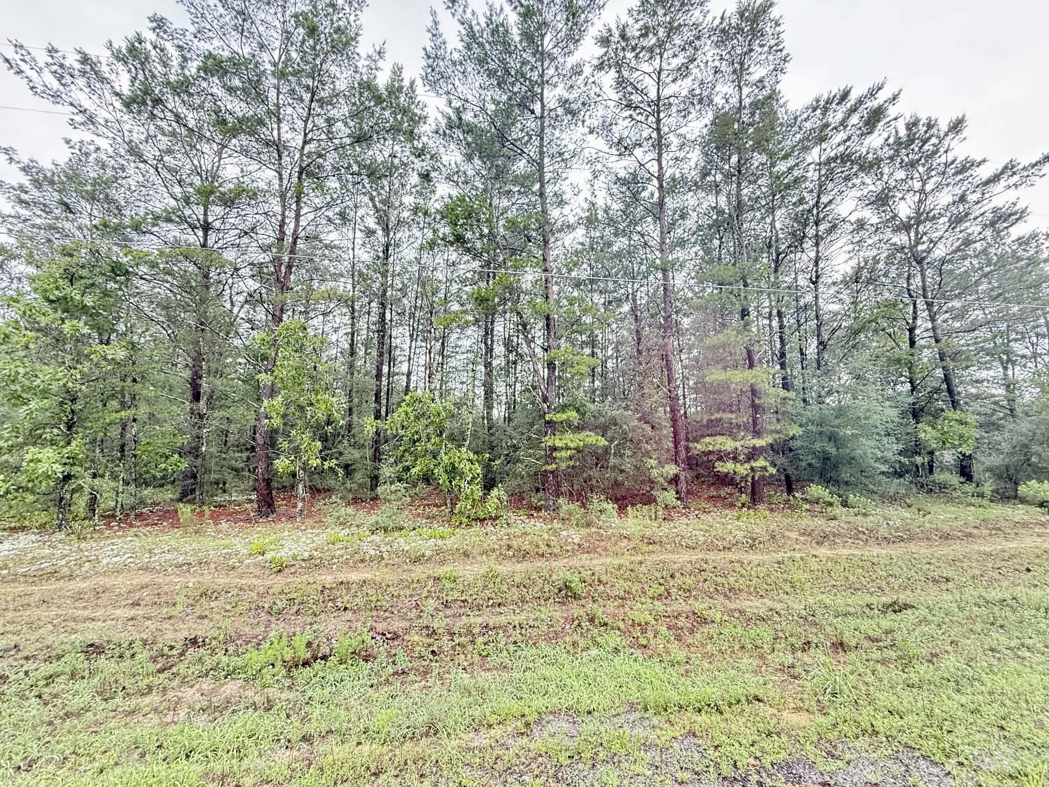 Oakwood Hills Unit 1 - Land
