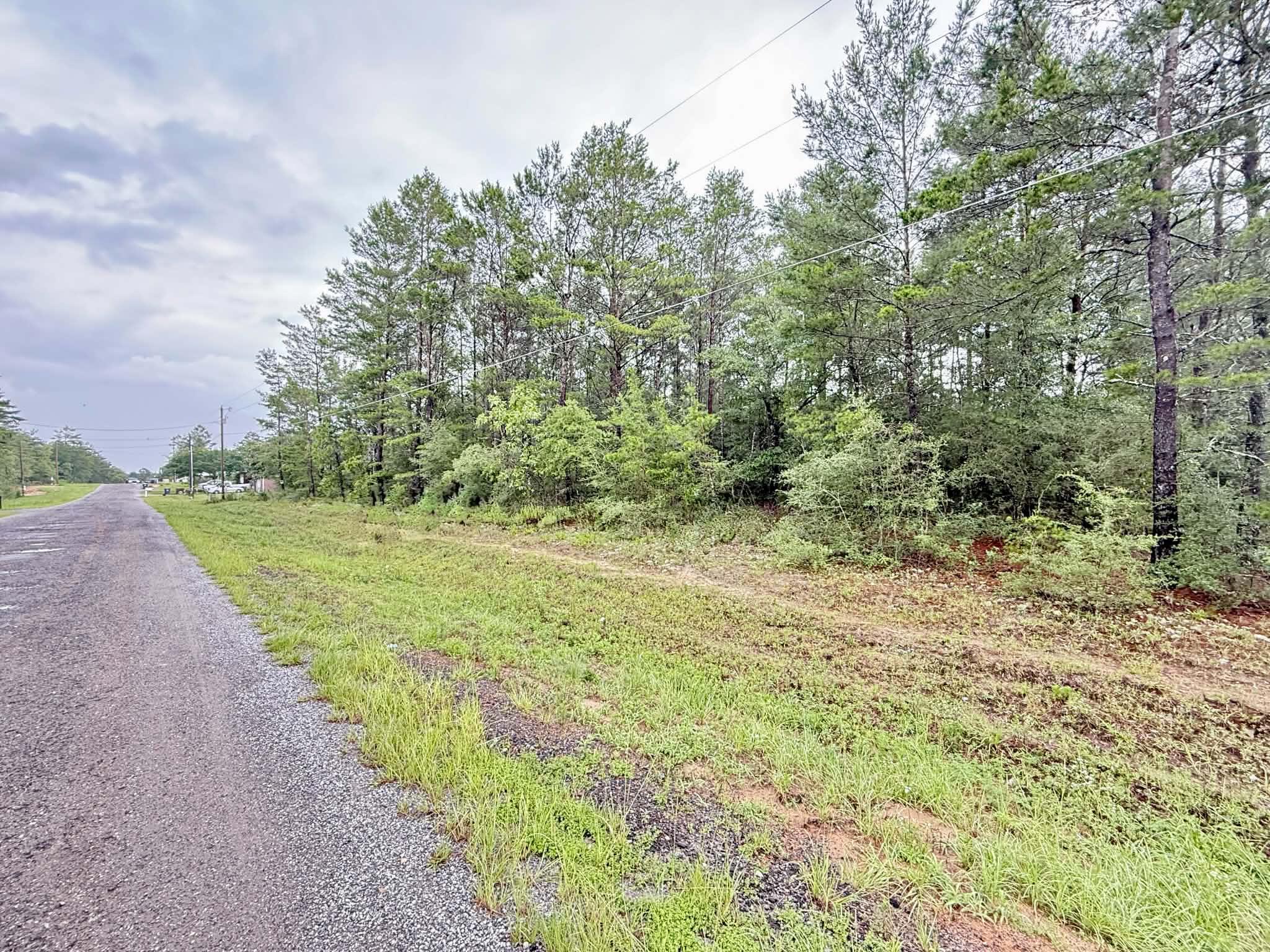 Excellant building lot - Paved Road Frontage. Lot is wooded. Both electricity and public water are availabee to lot. Tap fees have not been paid. Septic tank will be needed. Lot is located between DeFuniak Springs and Mossy Head Community. Easy access to I-10 and Hwy 285 with an exit to Niceville and Destin to the Beaches. Additional Lot Available.(MLS 1004240)