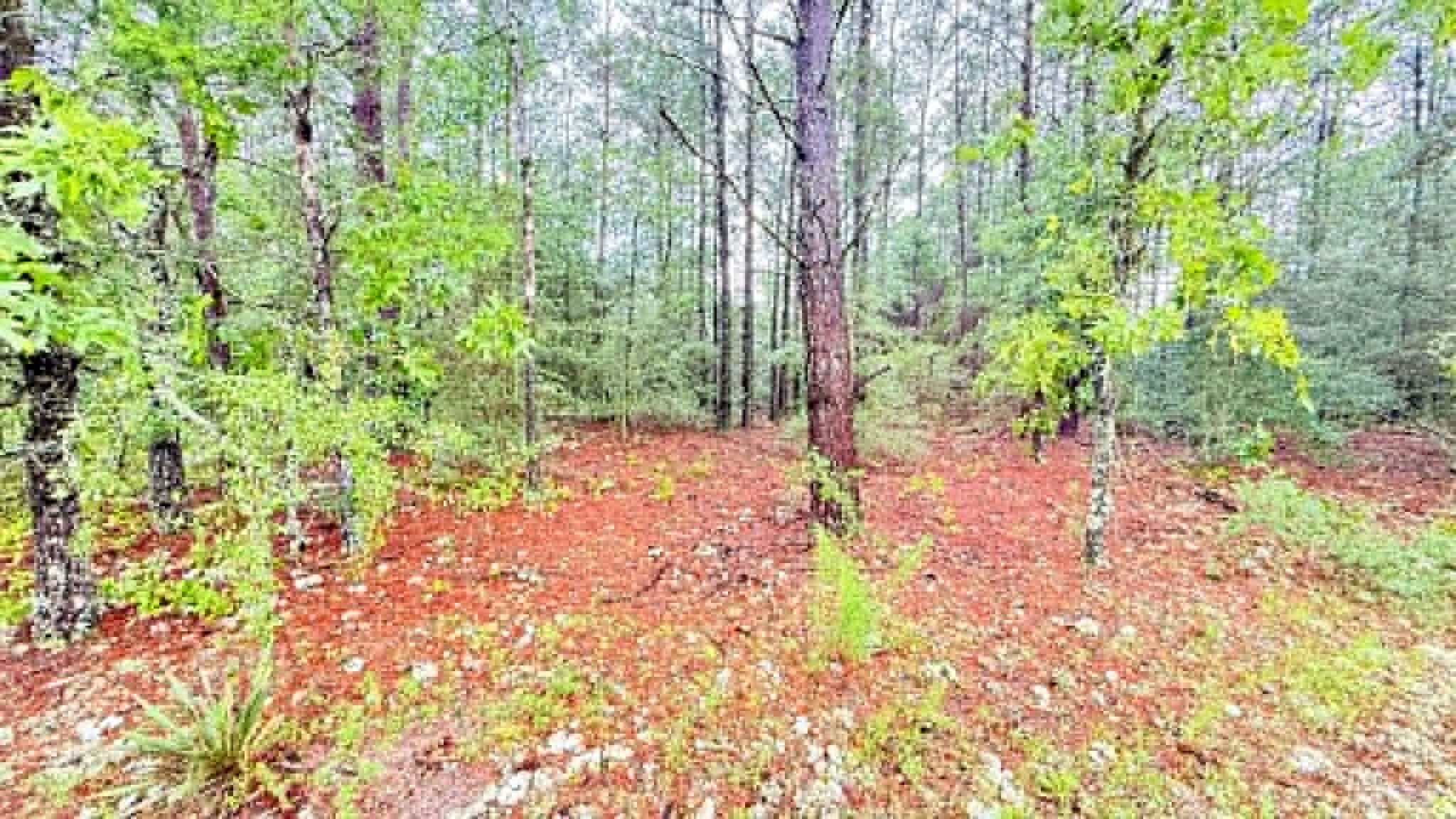 Oakwood Hills Unit 1 - Land