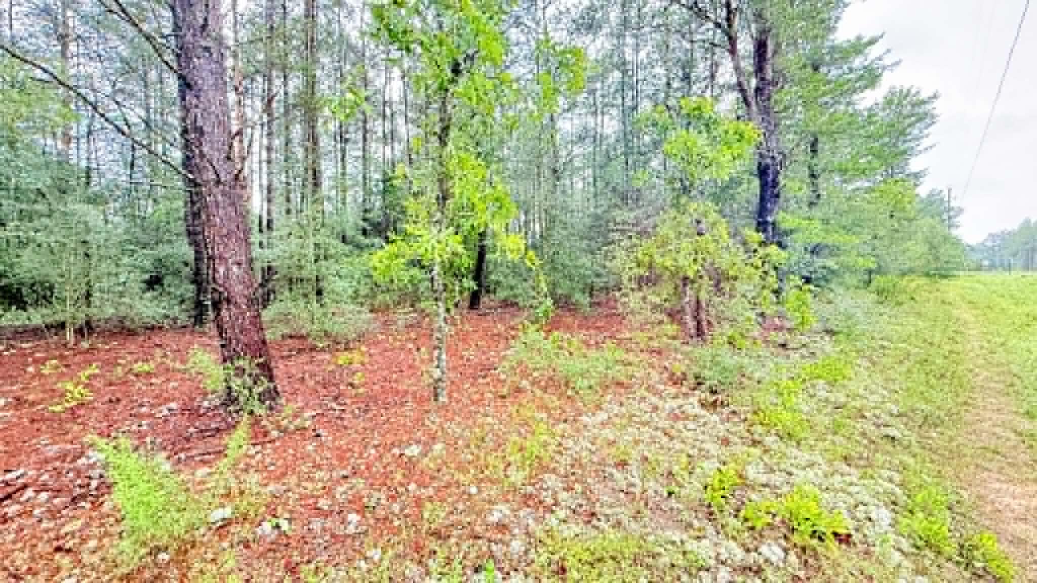 Oakwood Hills Unit 1 - Land
