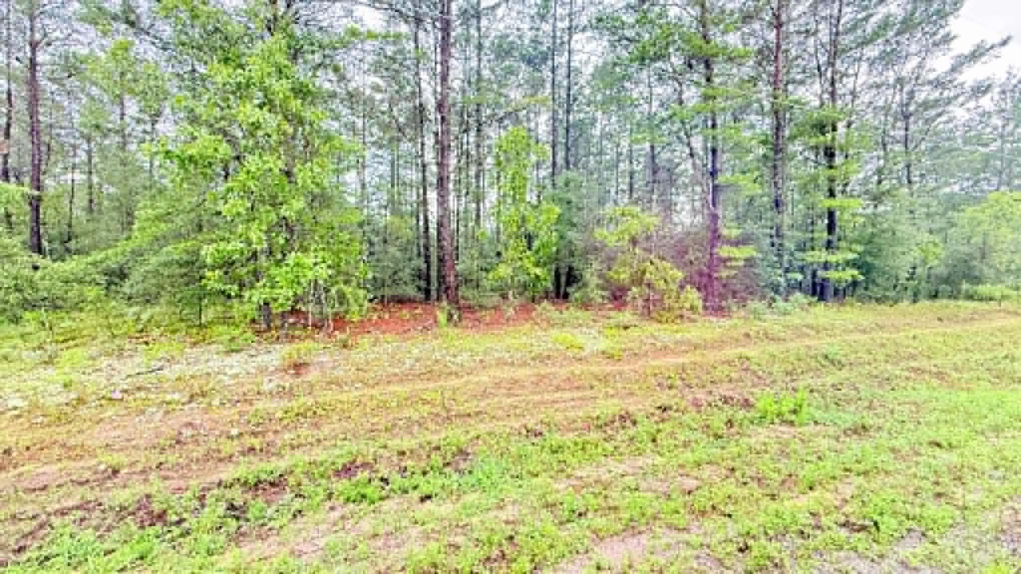 Oakwood Hills Unit 1 - Land