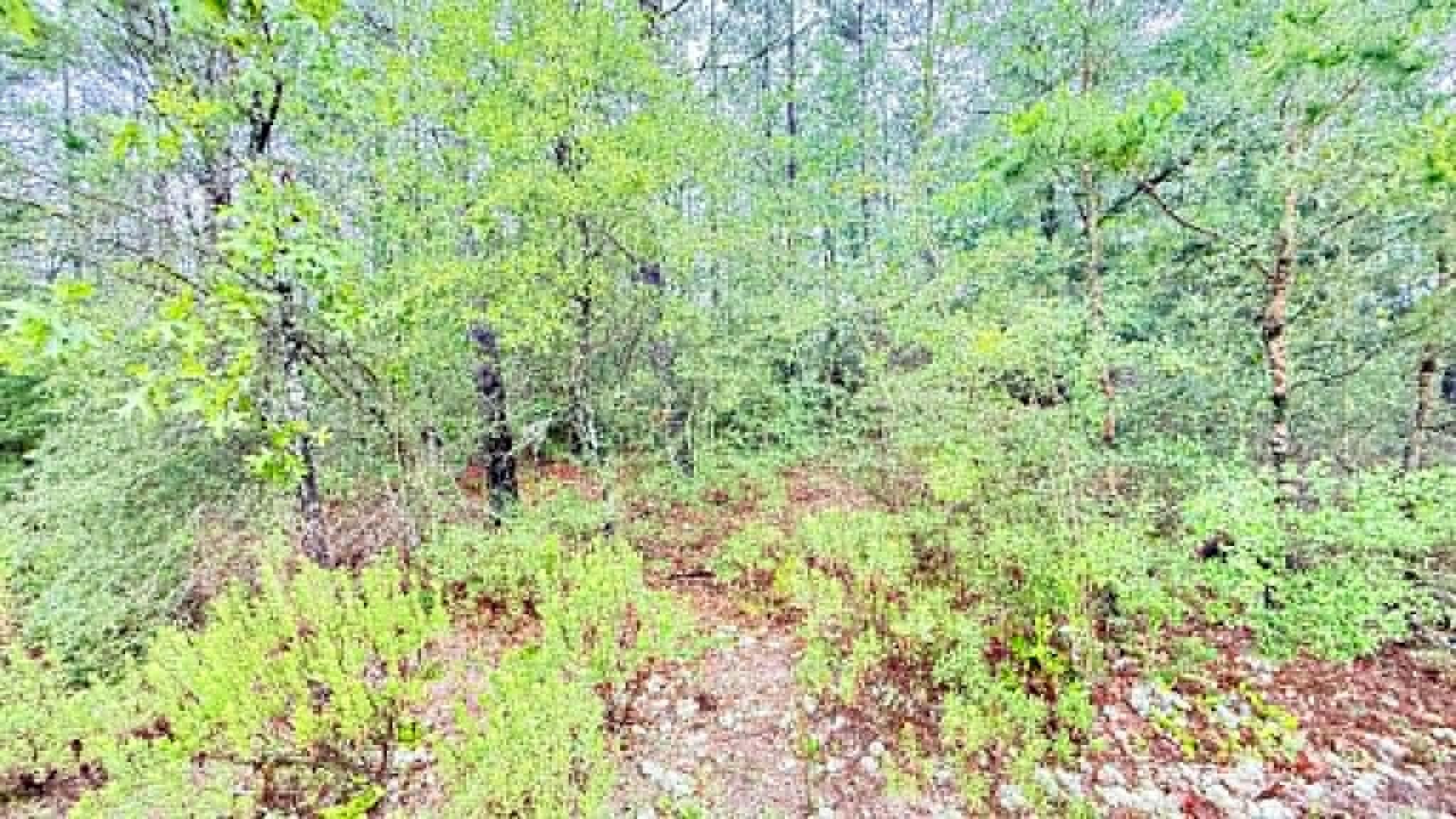 Oakwood Hills Unit 1 - Land