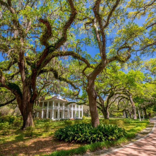 Eden Estates - Residential