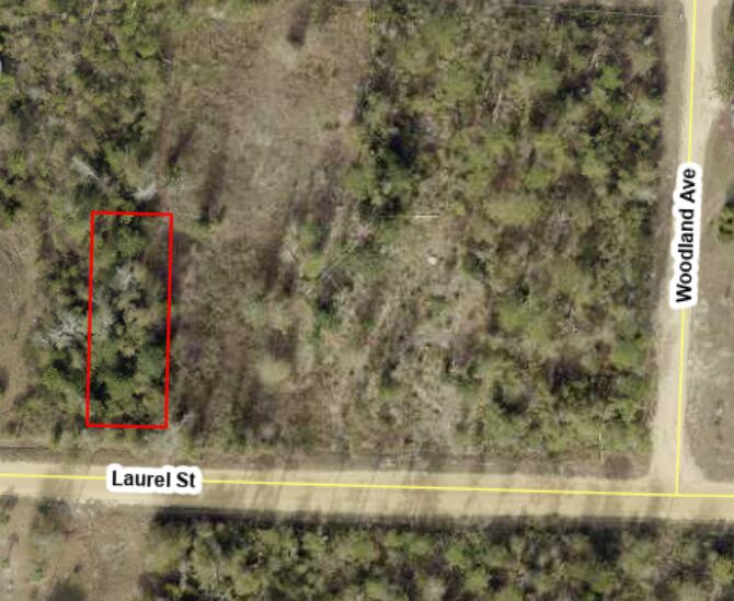 Affordable vacant lot in the peaceful community of Fountain, Florida! This 50' x 135' property, zoned R-2, is perfect for a single-family home or mobile home, giving you flexible options to build or place your next residence. Enjoy quiet rural living with convenient access to Hwy 231. Whether you're a first-time buyer, investor, or looking for a future homesite, this lot offers excellent potential at a great price. Owner financing available! This is a fantastic opportunity to secure land without the hassle of traditional lending--easy terms and a smooth process for qualified buyers. Property Highlights: 50' x 135' lot in growing Fountain, FL, R-2 zoning allows single-family homes or mobile homes, Peaceful area with room to grow, Owner financing available, Ideal for investors, builders, or affordable living plans. Don't miss your chance to own land with flexible financing options. Start building your future today. This property has been surveyed.