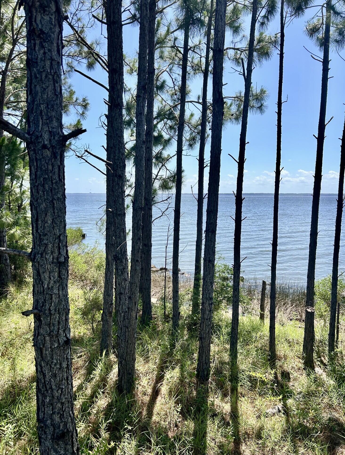 AVALON BEACH - Land