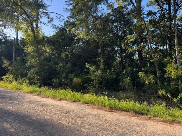 Build your dream Florida cottage here on this 60 x 125 corner lot on paved road in beautiful Santa Rosa Beach! Launch your boat 2 blocks away at Cessna Landing/Hogtown Bayou. Take in the breathtaking views of the Choctawhatchee Bay 2 miles north or enjoy the squeaky white sands beach at Ed Walline Park on the Gulf 3 miles south. Public water and sewer available. Verify all details and important pertinent information.