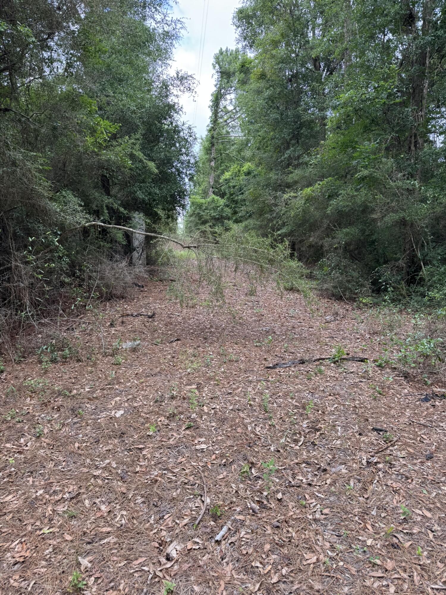 NA - Land