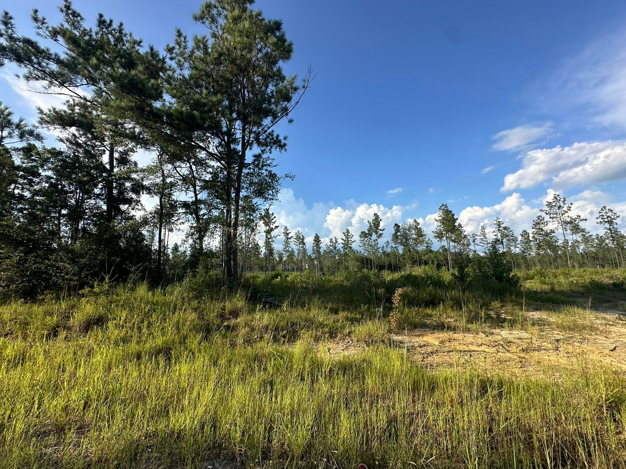 NO RECORDED SUBDIVISION - Land