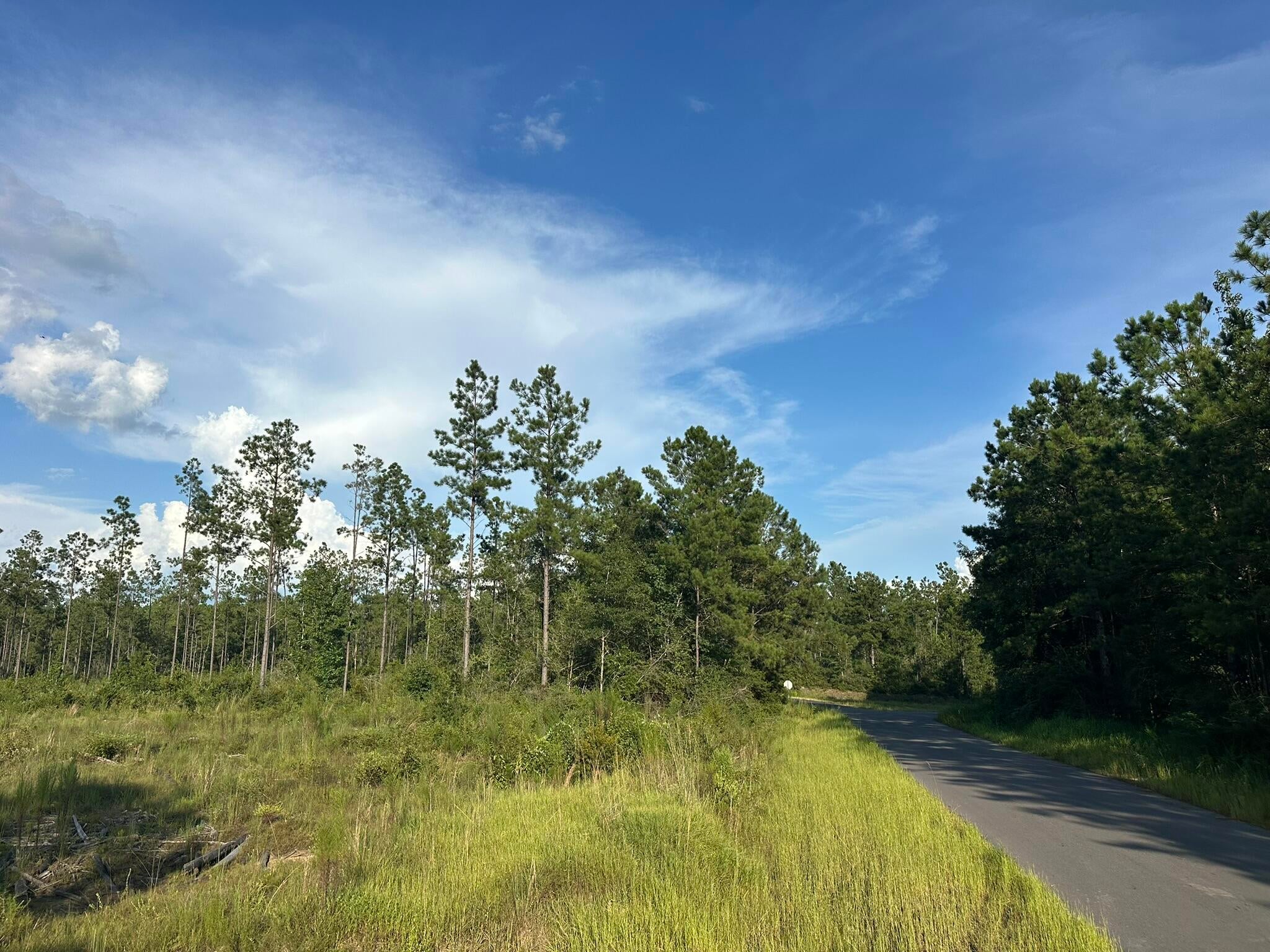 Tucked along Yellow River Baptist Church Road in Baker, Florida, this approximately 10± acre wooded tract offers a quiet slice of Northwest Florida to enjoy on your own terms. Whether used for hunting, recreation, weekend escapes, or simply as a place to get away and spend time outdoors, the property provides room to roam and a natural setting away from the everyday. A versatile piece of land with plenty of possibilities.