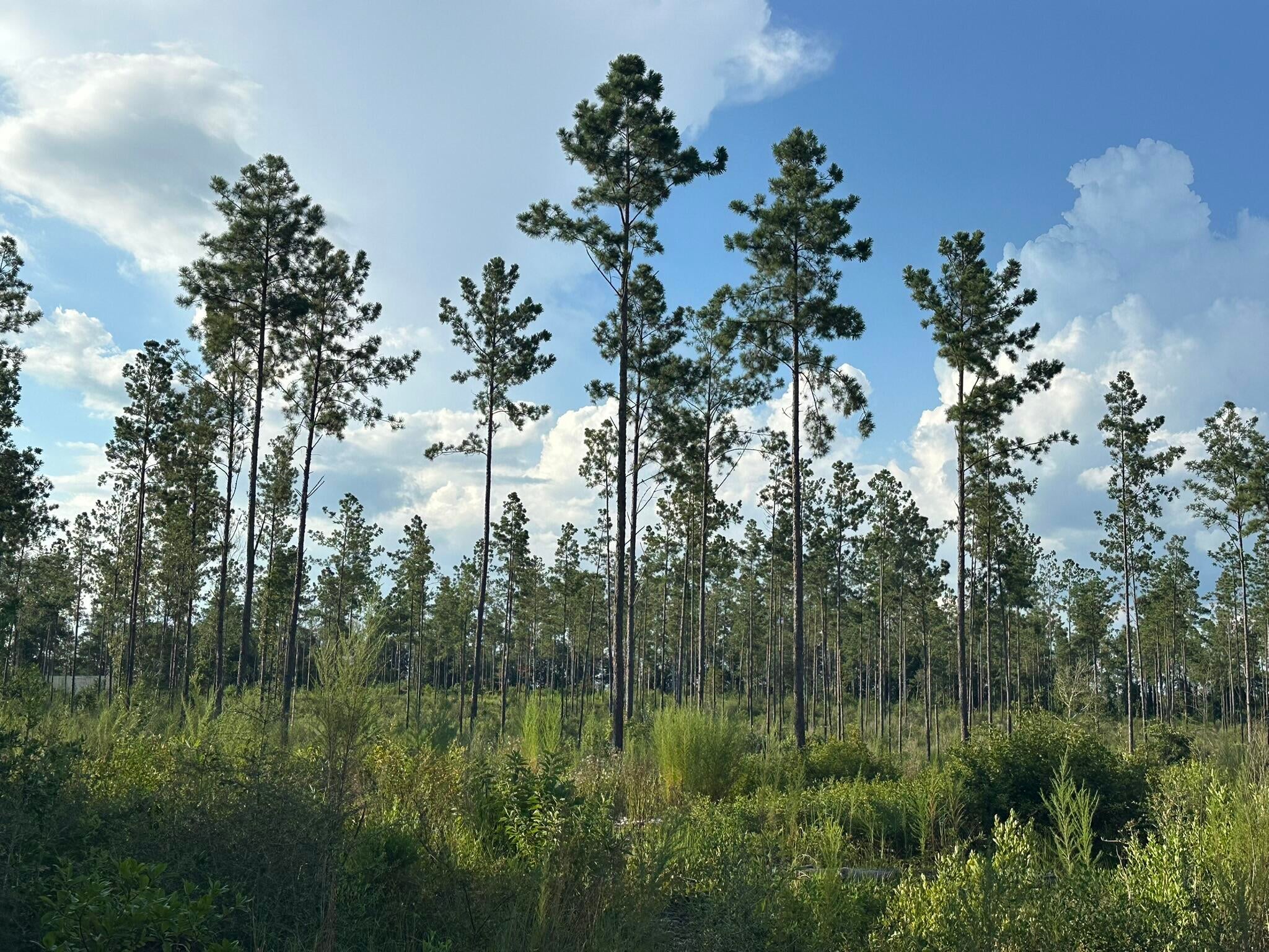 NO RECORDED SUBDIVISION - Land