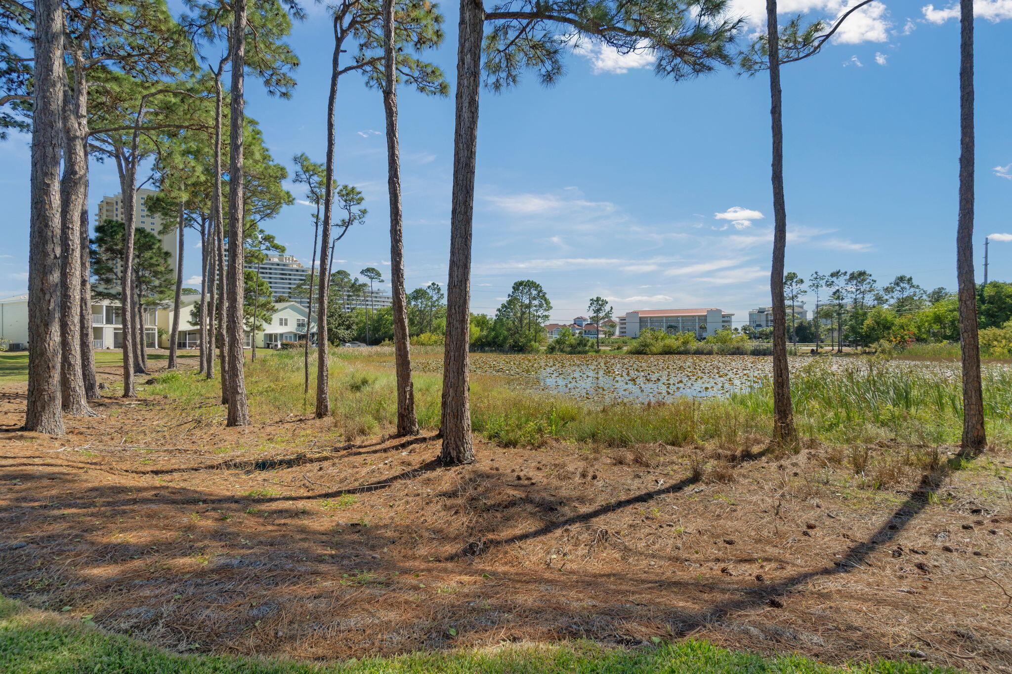 SUMMERLAKE T/H - Residential
