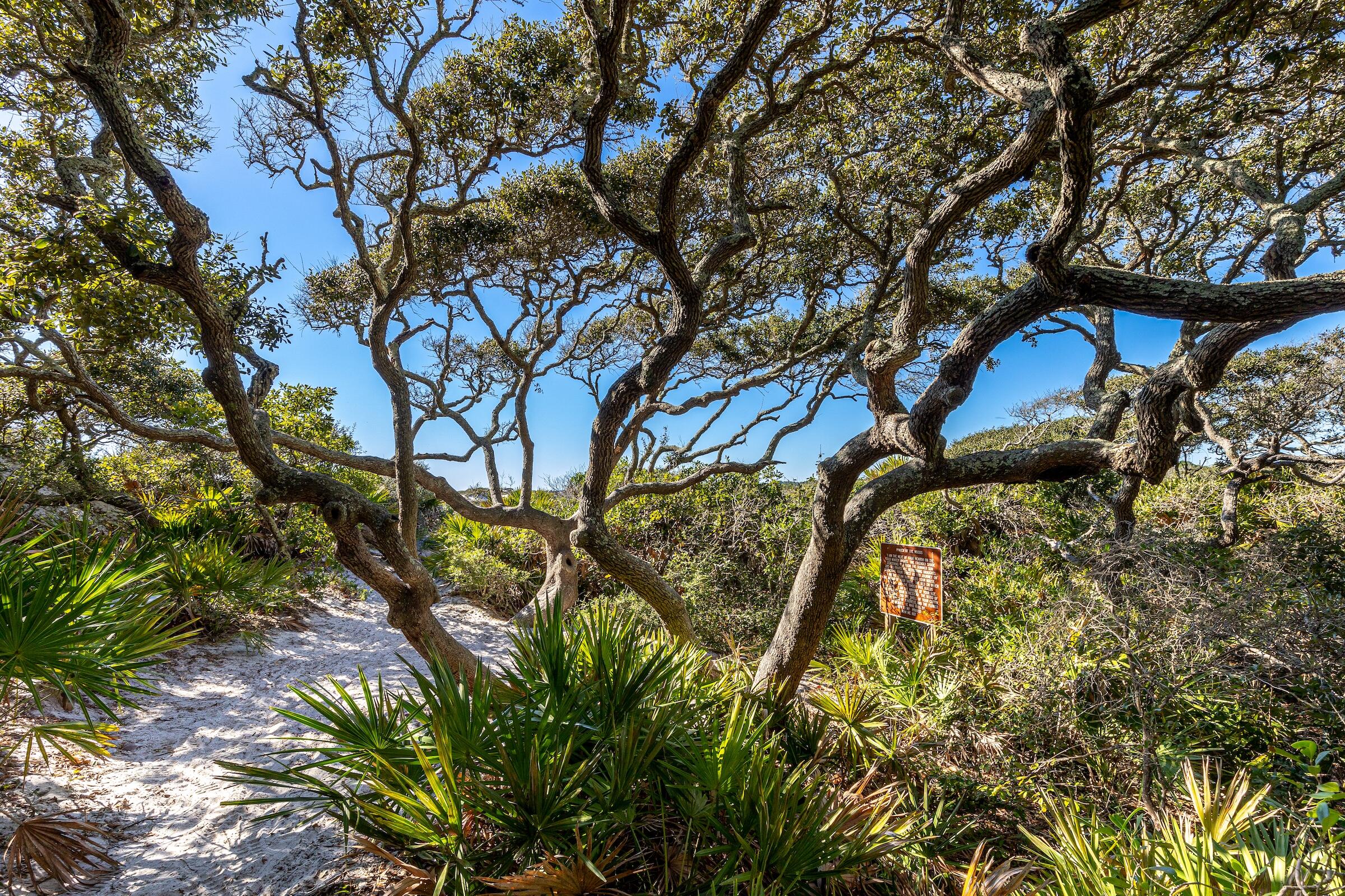 GRAYTON BEACH - Residential