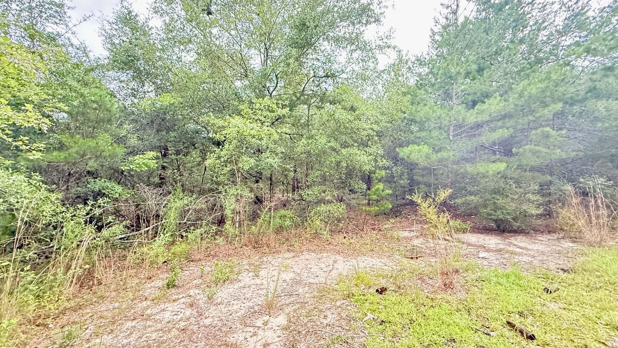 JUNIPER LAKE ESTATES - Land