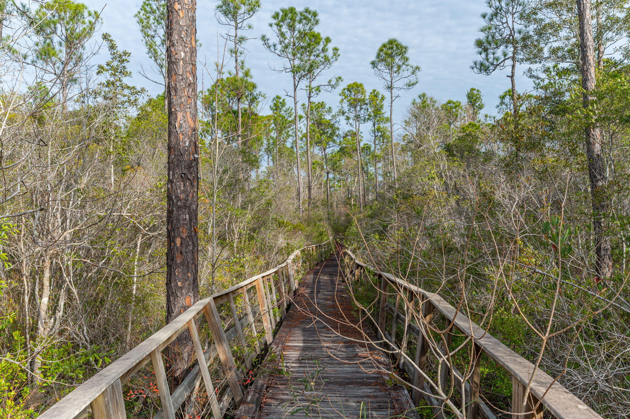 WHISPERING PINES ESTATES - Residential