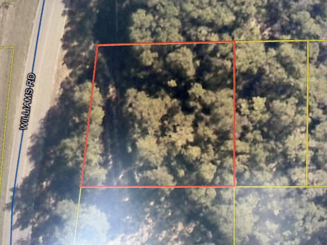 Price includes bonus lot High and Dry; Rural wooded and private property, paved road.  Build your new home (mobile homes allowed) or hold for investment in this growing area while prices are still low.  Electric at street, Survey available.
