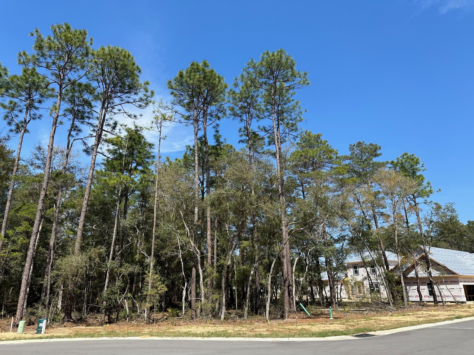 DEER MOSS CREEK - Land