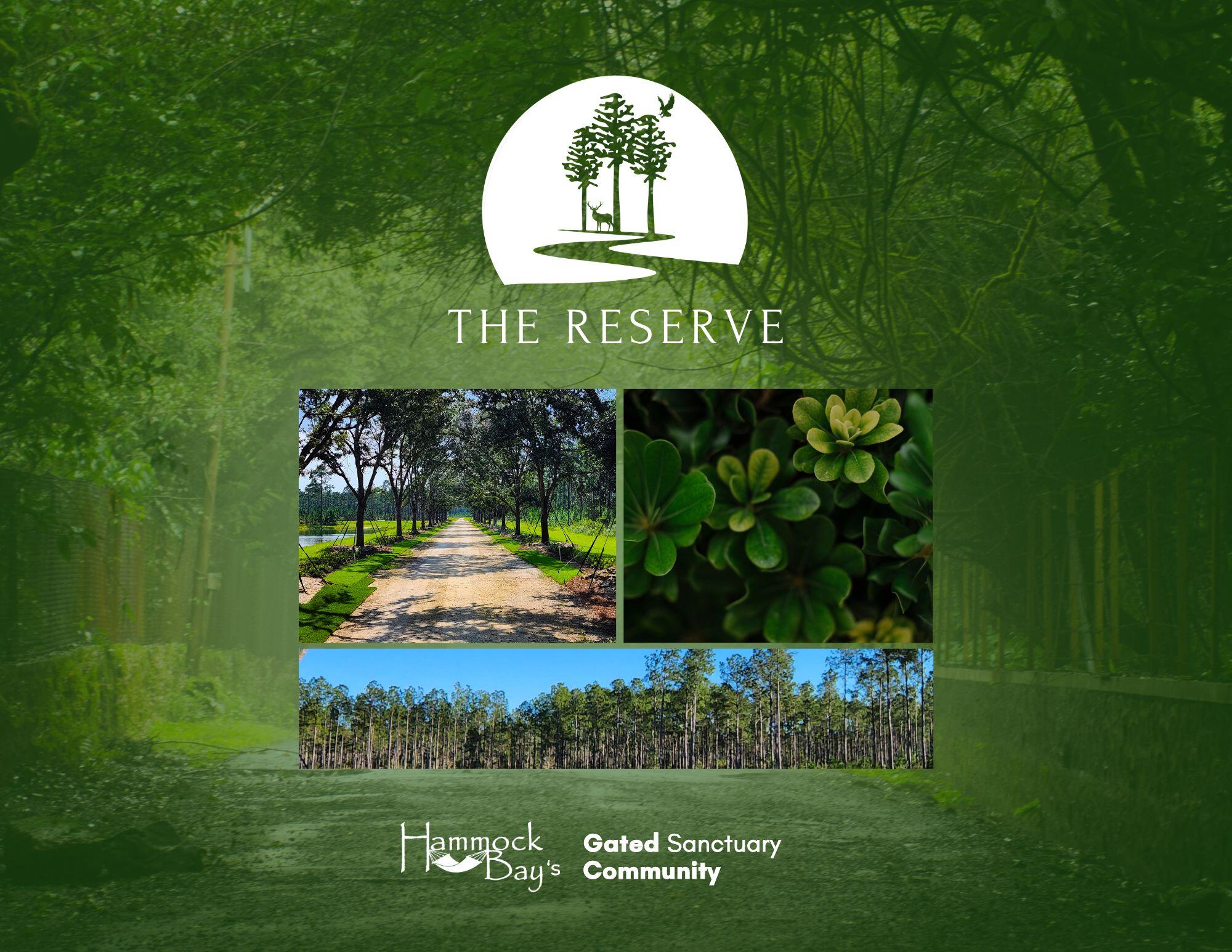 Lot 8 in the Reserve at Hammock Bay has 13.77 acres providing the utmost in privacy. This elusive estate-lot community is offering rare privacy, natural beauty, and refined living all within the City of Freeport! With only 42 homesites across 723± acres, each ranging from 3 to 80 acres, The Reserve provides space to create a true legacy property. Enjoy no build-out time frame, plus the guidance of The Reserve's Architectural Review Code and Team. The Reserve offers the acreage you need to bring your dreams to reality. Whether you dream of a large garden, barn, horses, pool oasis, expansive outdoor living, or all of the above, there is room to bring your vision to life. This gated neighborhood features underground utilities, natural gas, and fiber internet More...