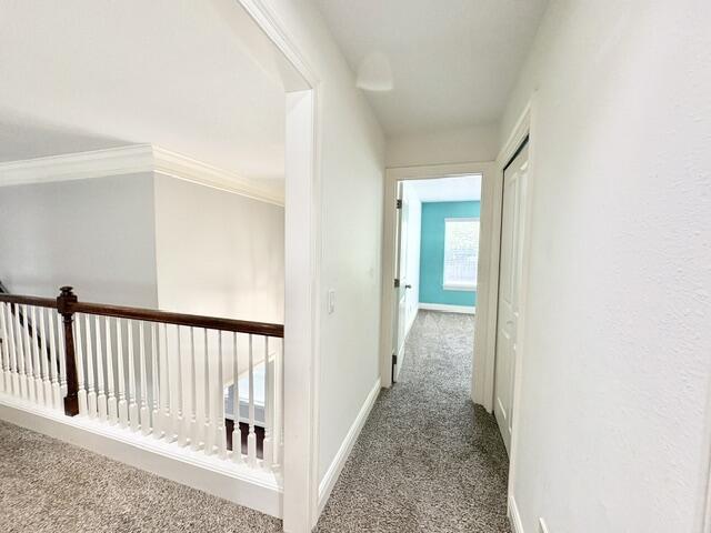 BAYSHORE PLACE PH 7 - Residential Lease