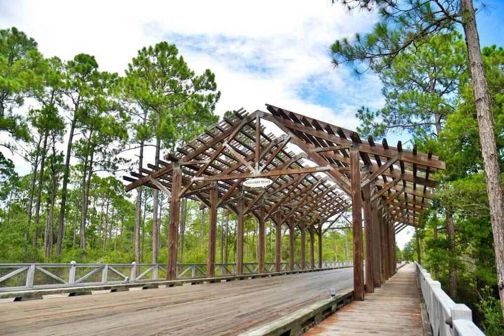 NATUREWALK AT SEAGROVE - Residential