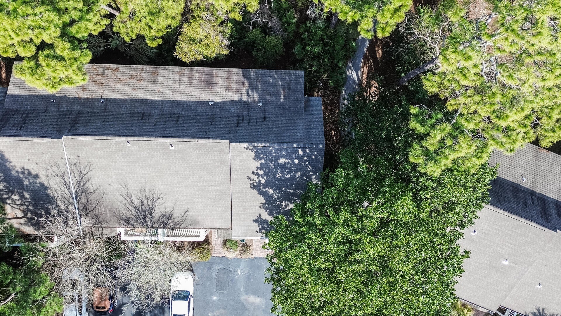 CASSINE GARDENS T/H PH 4 - Residential