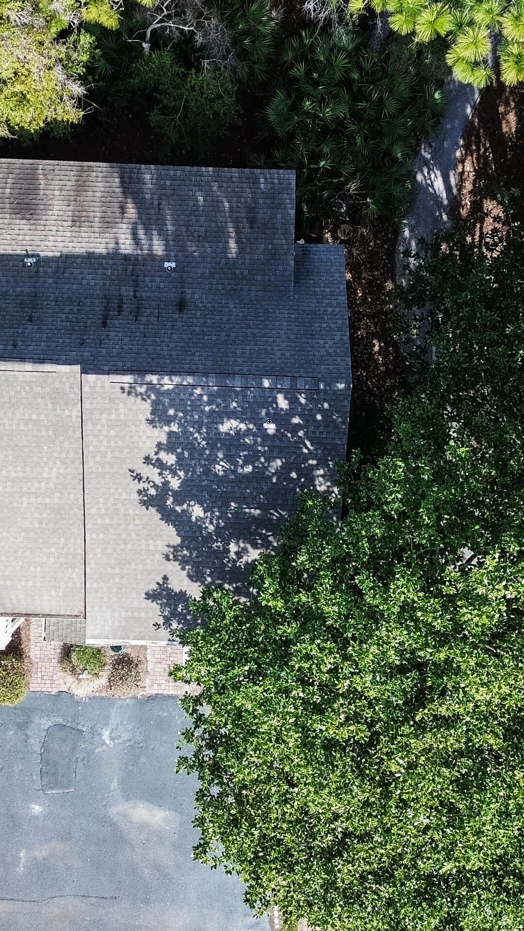CASSINE GARDENS T/H PH 4 - Residential