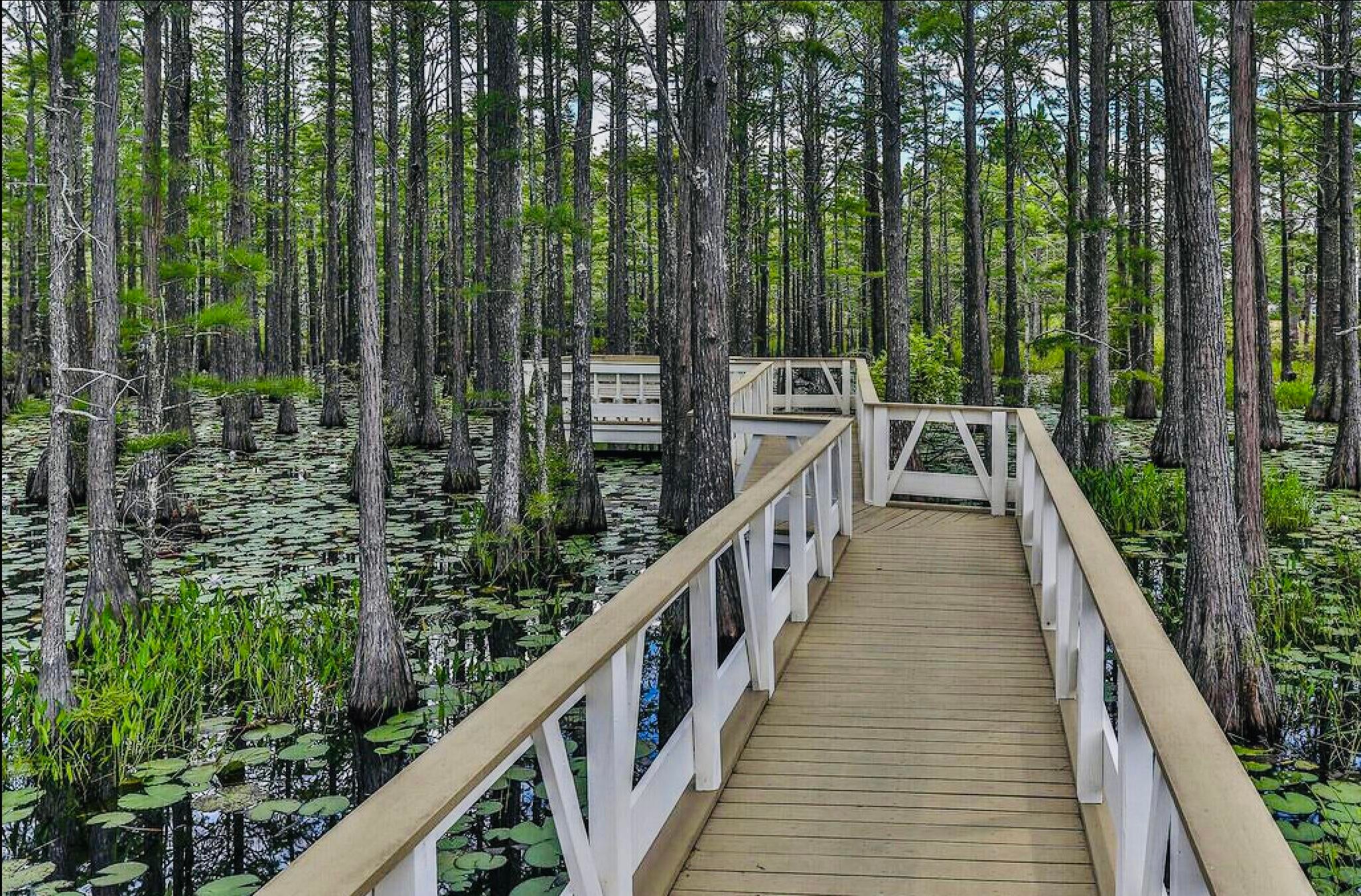 CYPRESS DUNES - Residential