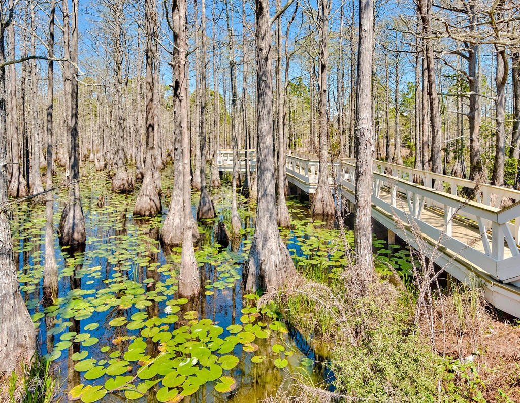 CYPRESS DUNES - Residential