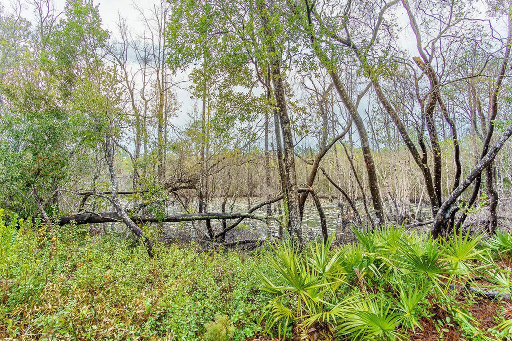 Peach Creek Phase 5 - Residential Lease