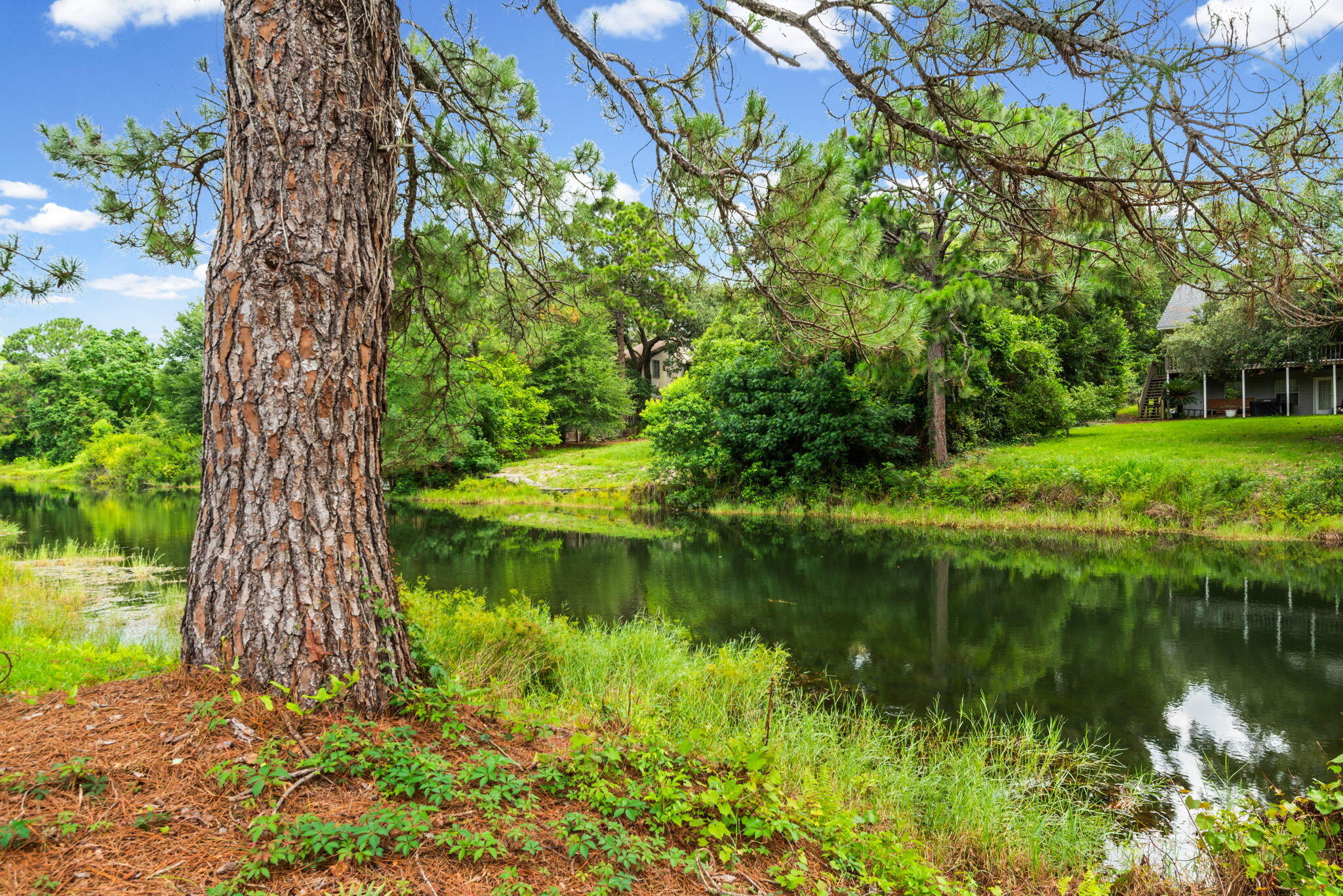TURNBERRY PLACE - Residential