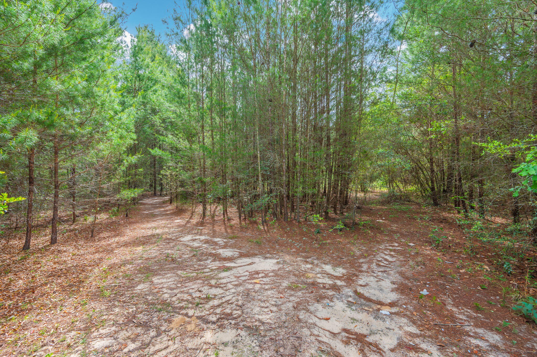 NO RECORDED SUBDIVISION - Land