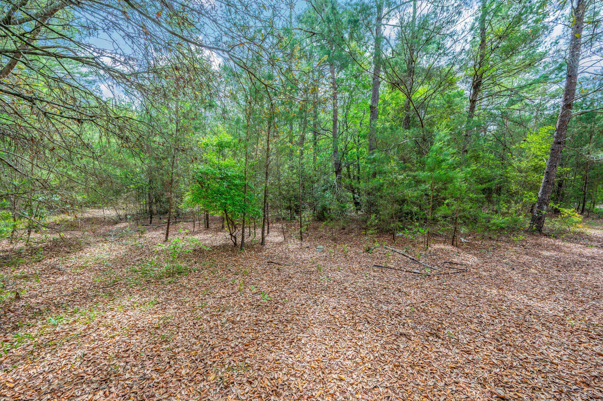 NO RECORDED SUBDIVISION - Land