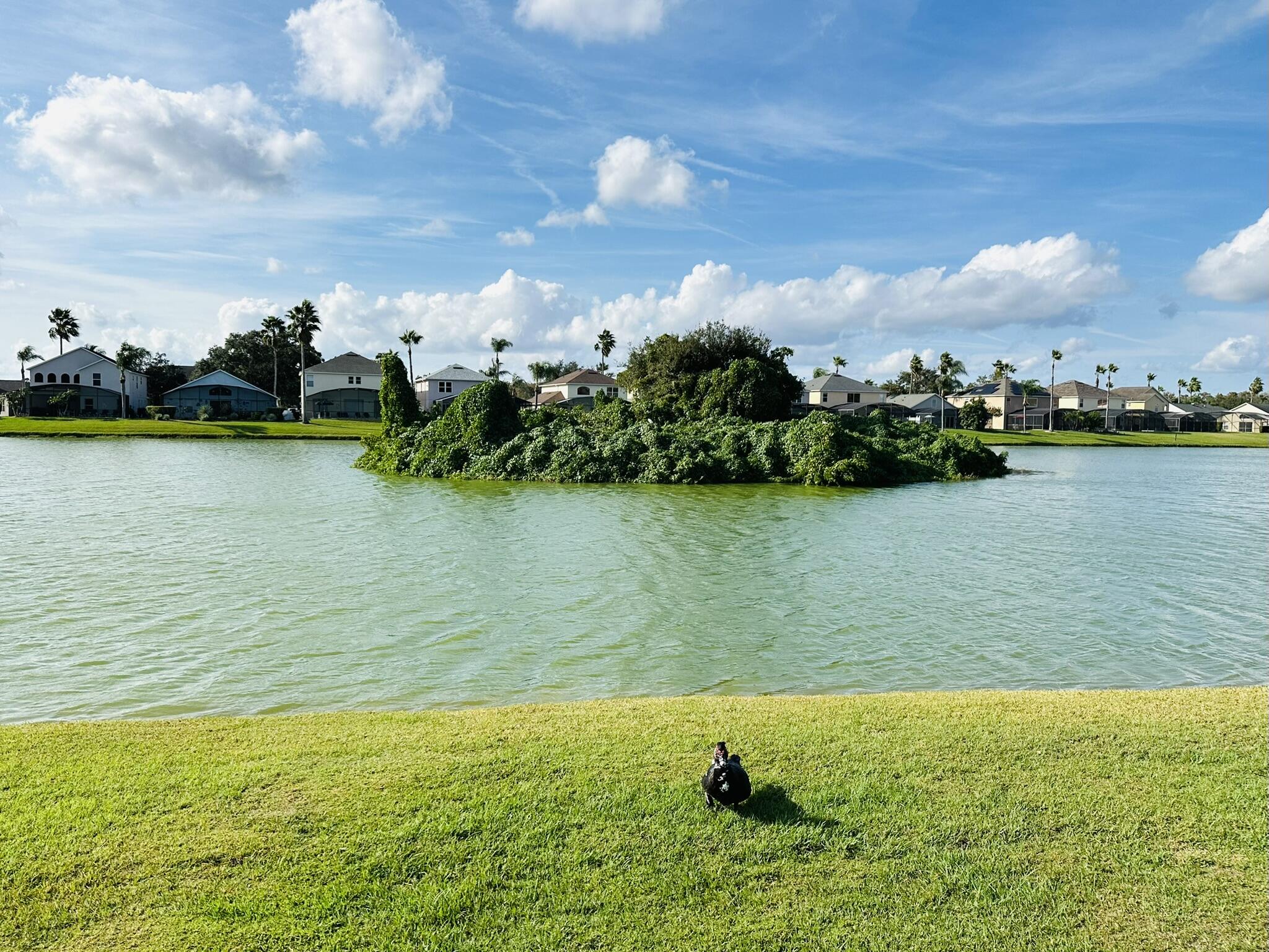 LAKE BERKLEY RESORT PH 2 - Residential