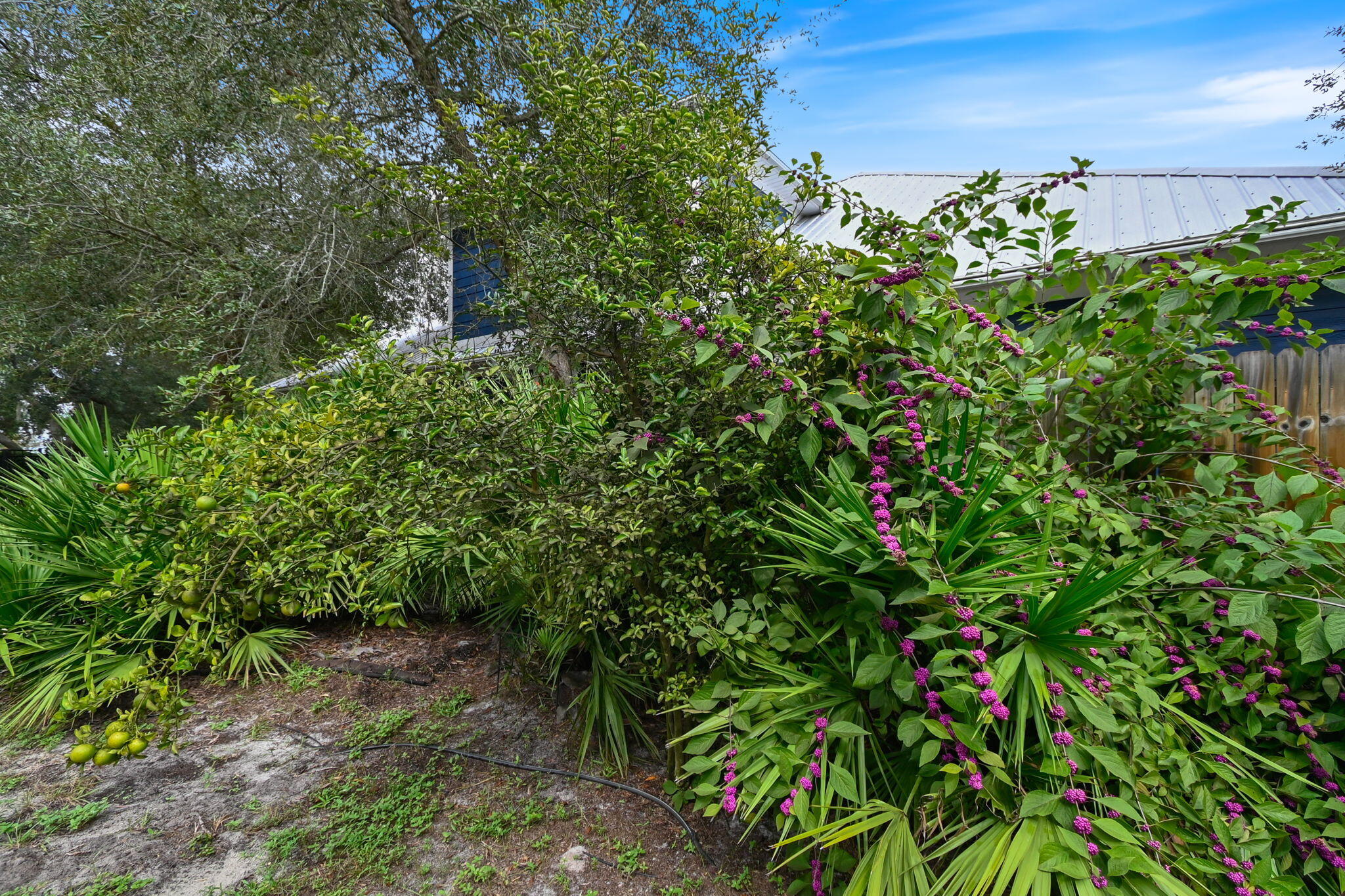 PELICAN BAY - Residential