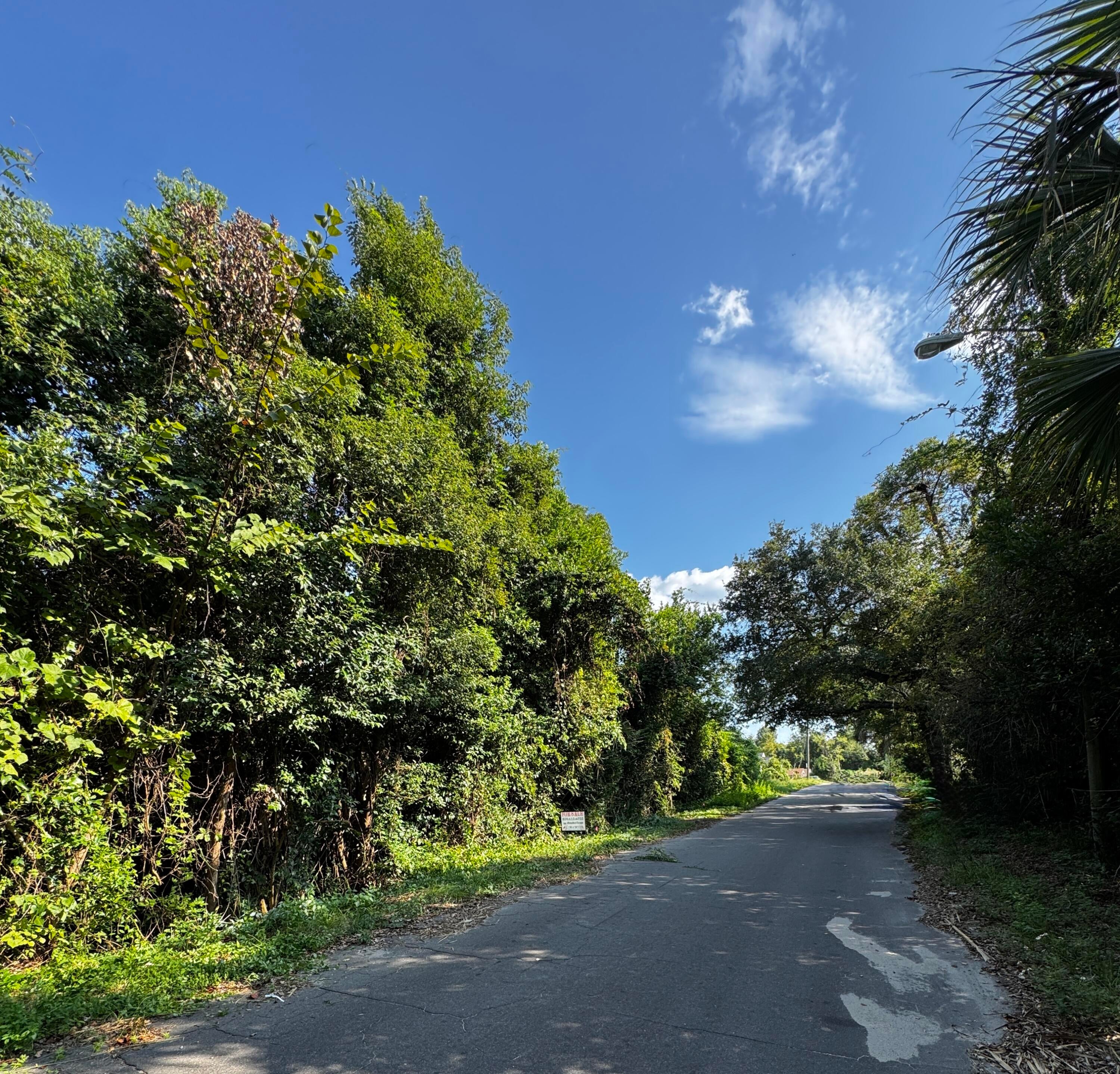 Nature Lover's Paradise with City Incentives - Prime Lot Available - Escape to your own private retreat filled with abundant wildlife, scenic fishing spots, and breathtaking nature views. This unique property offers the perfect blend of natural tranquility and urban opportunity, making it an ideal location to build your dream home or next investment project. 
Property Highlights & Location Benefits CRA Investment Incentives: This property is located within the City's Community Redevelopment Agency (CRA) area. Buyers are highly encouraged to contact the city directly to explore the various building grants and financial incentives available for development in this district.  
Nature & Wildlife: A haven for outdoor enthusiasts, featuring excellent birdwatching, fishing, and peaceful landscape views right from your future doorstep. Property is being sold as-is with no existing survey. Buyer to obtain a new survey if desired.  No HOA