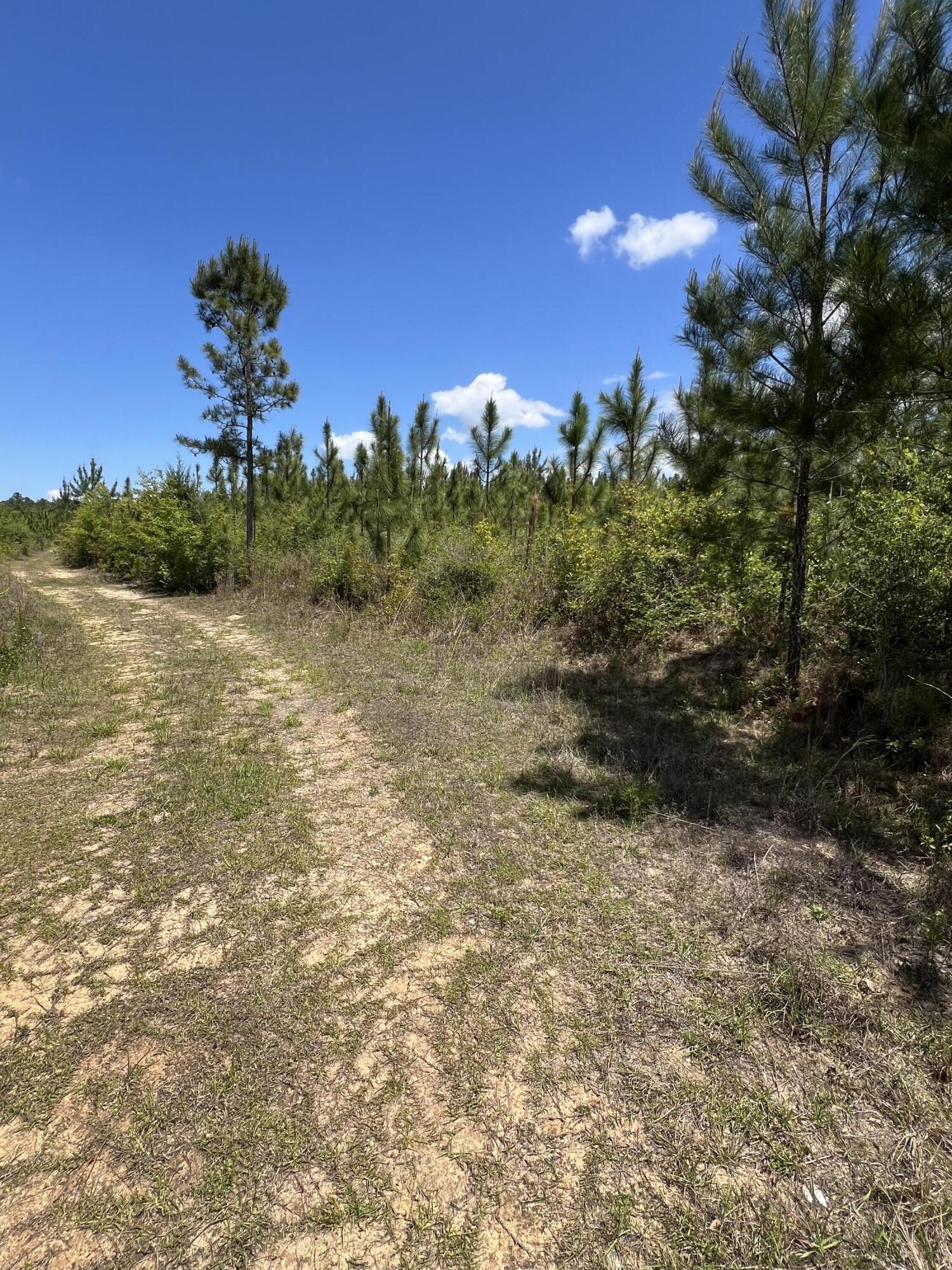 NO RECORDED SUBDIVISION - Land