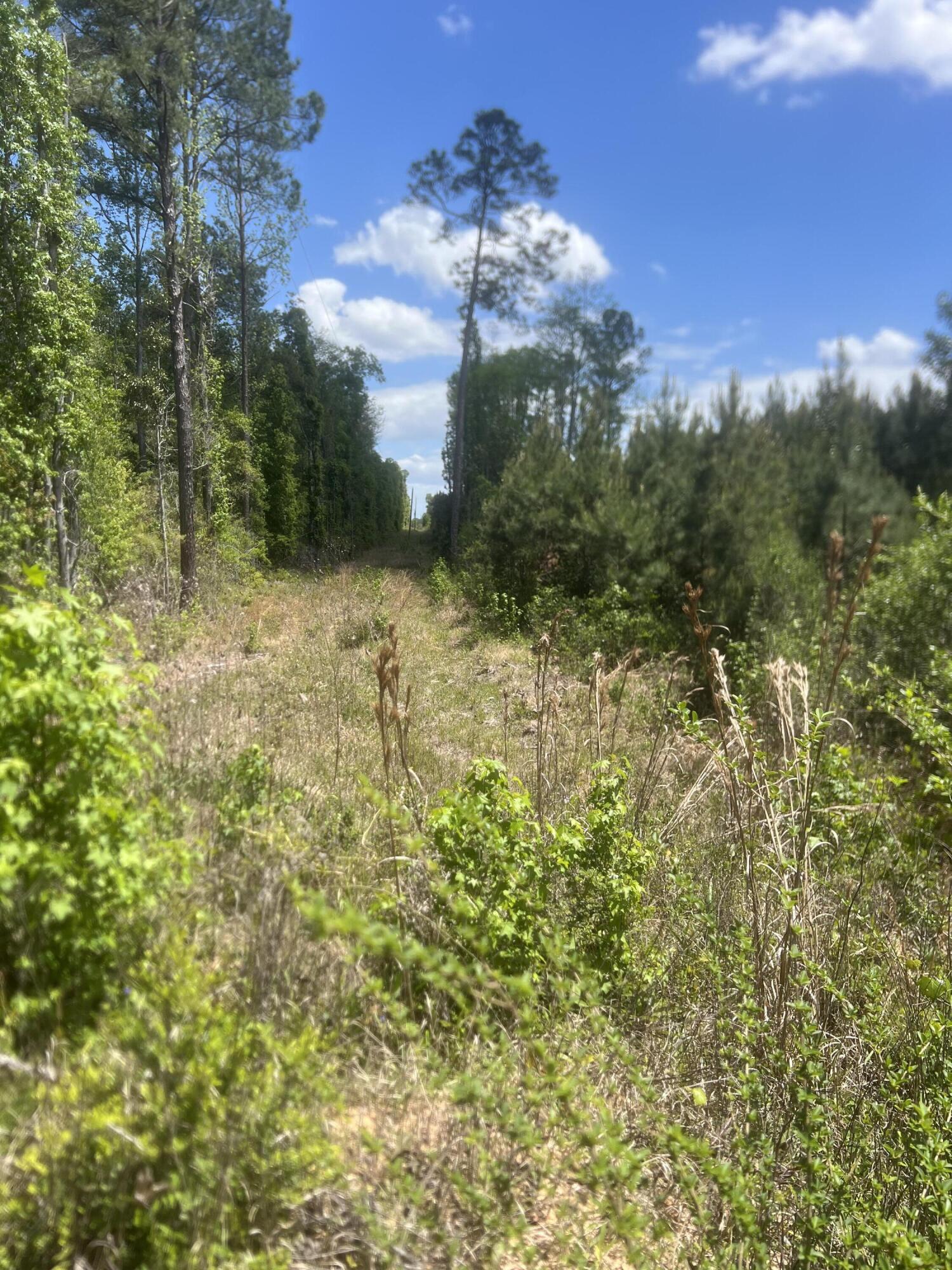 NO RECORDED SUBDIVISION - Land
