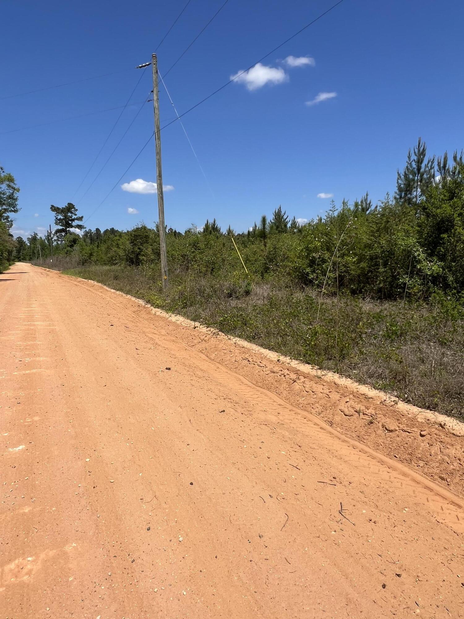 Discover the possibilities with this expansive 117-acre tract in Chipley, Florida--an exceptional opportunity for investors, hunters, or those ready to create a private homestead and build a lasting family legacy. Tucked away for privacy yet conveniently located just 45 minutes from the emerald waters and white sandy beaches of Panama City Beach, this property offers the perfect balance of seclusion and accessibility.

The land features eight-year-old planted longleaf pines, making it not only beautiful but also a potentially valuable long-term investment. Well-maintained access roads run throughout the property, and with frontage on a county-maintained dirt road and access points on both ends, navigating and developing the land is both easy and convenient.

 Whether you're looking to subdivide for investment purposes, establish a hunting retreat, or create your own self-sustaining homestead, this property provides the space and flexibility to bring your vision to life. Abundant wildlife, peaceful surroundings, and endless potential make this a rare find in today's market.

Opportunities like this don't come around often--117 acres of usable land with unlimited possibilities. Your private paradise awaits.
