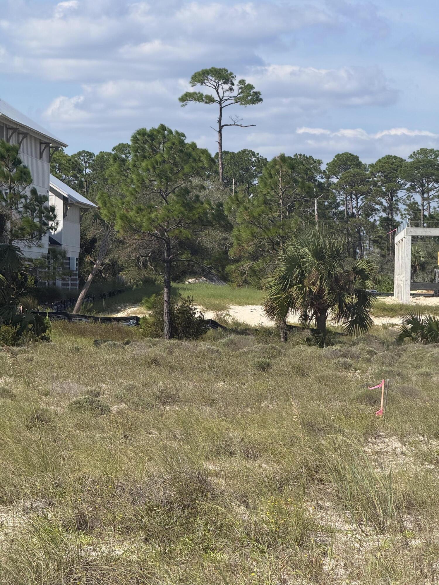 Indian Pass Preserve - Land
