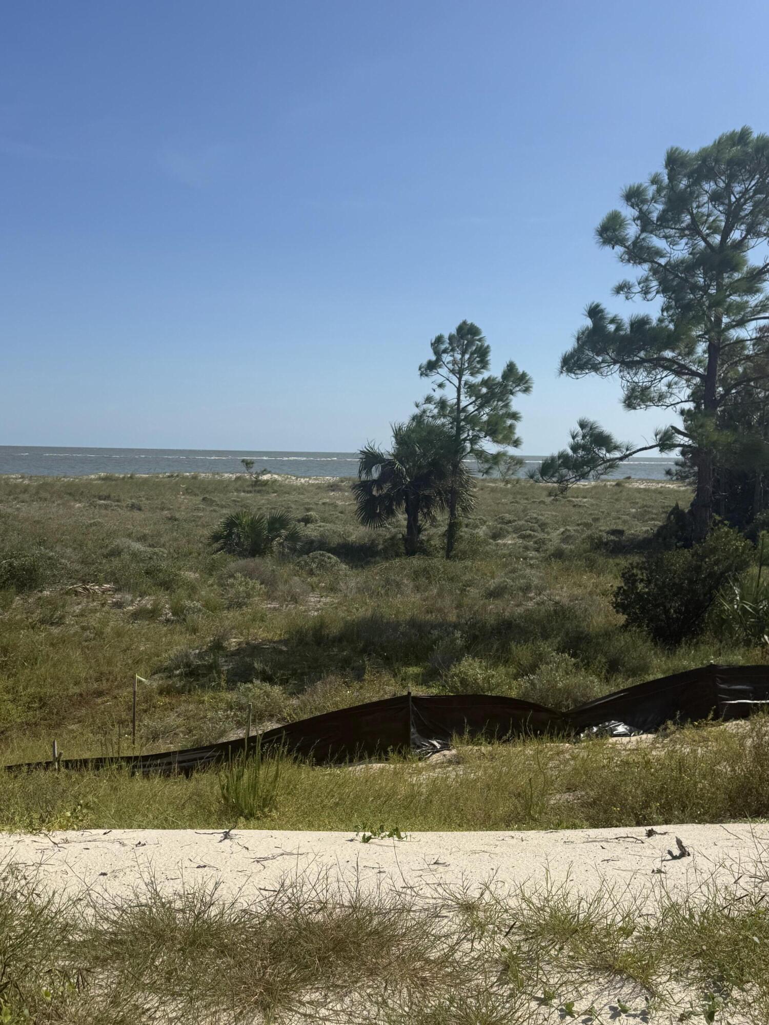 Indian Pass Preserve - Land