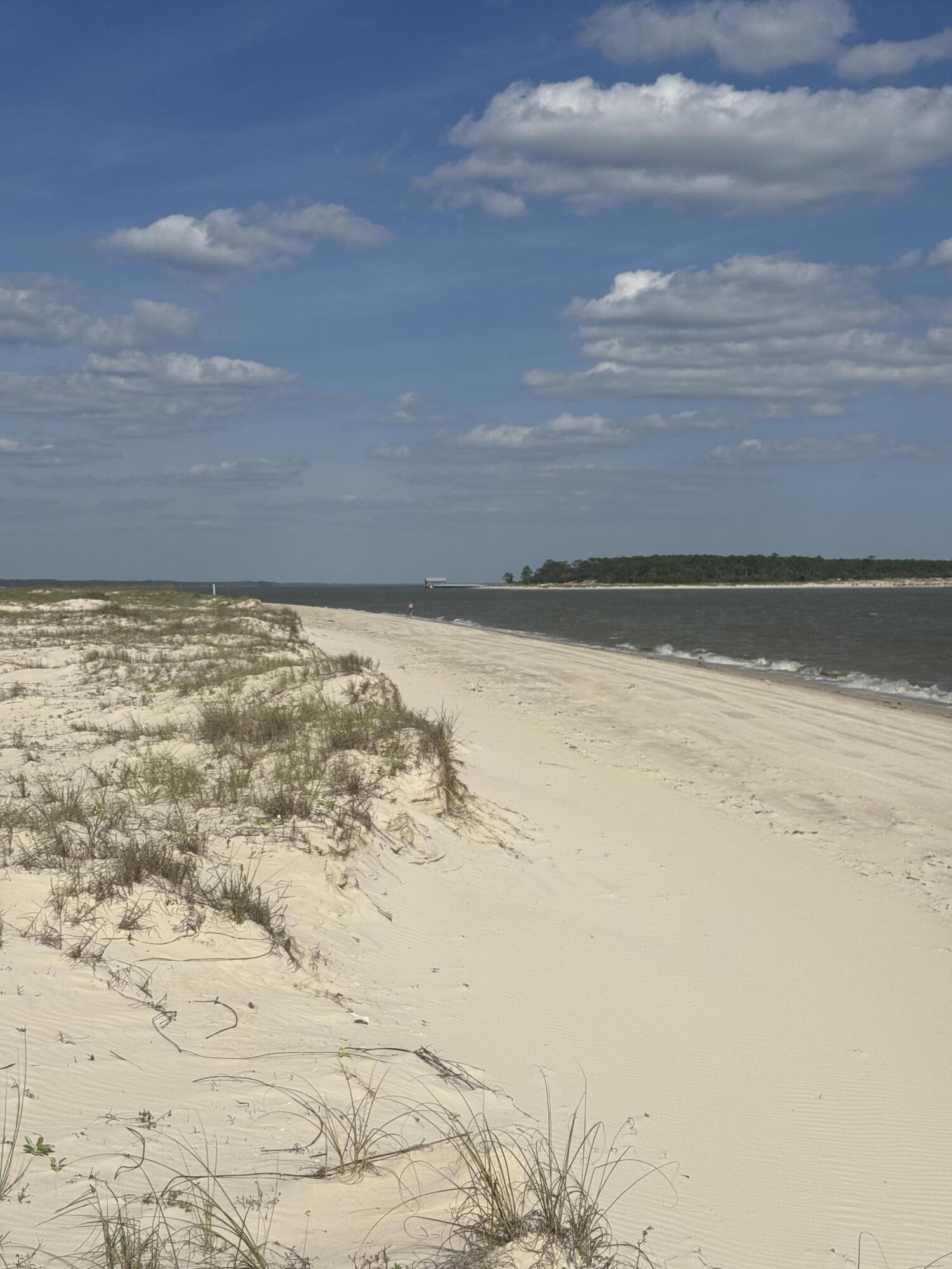 Indian Pass Preserve - Land