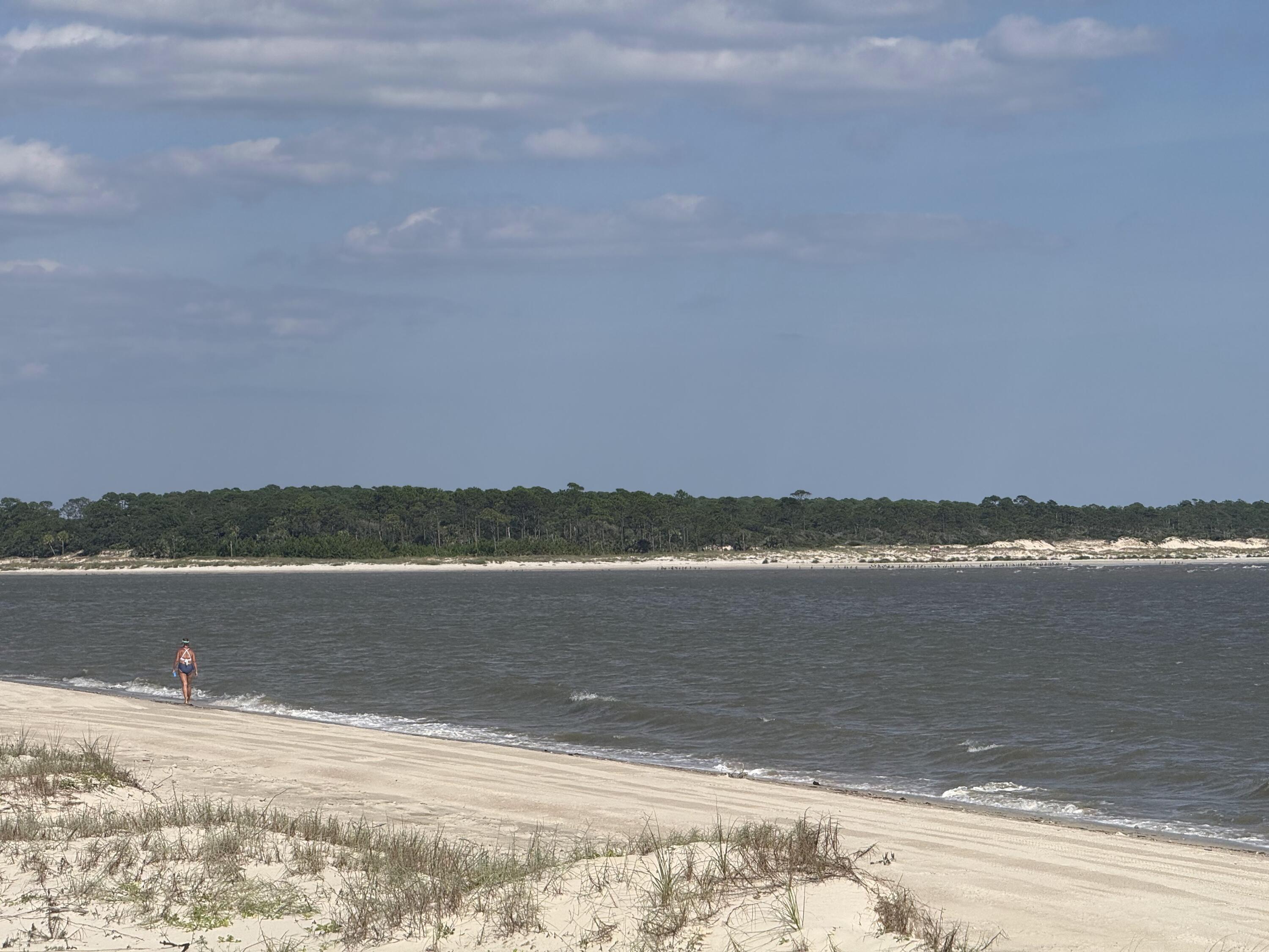 Indian Pass Preserve - Land