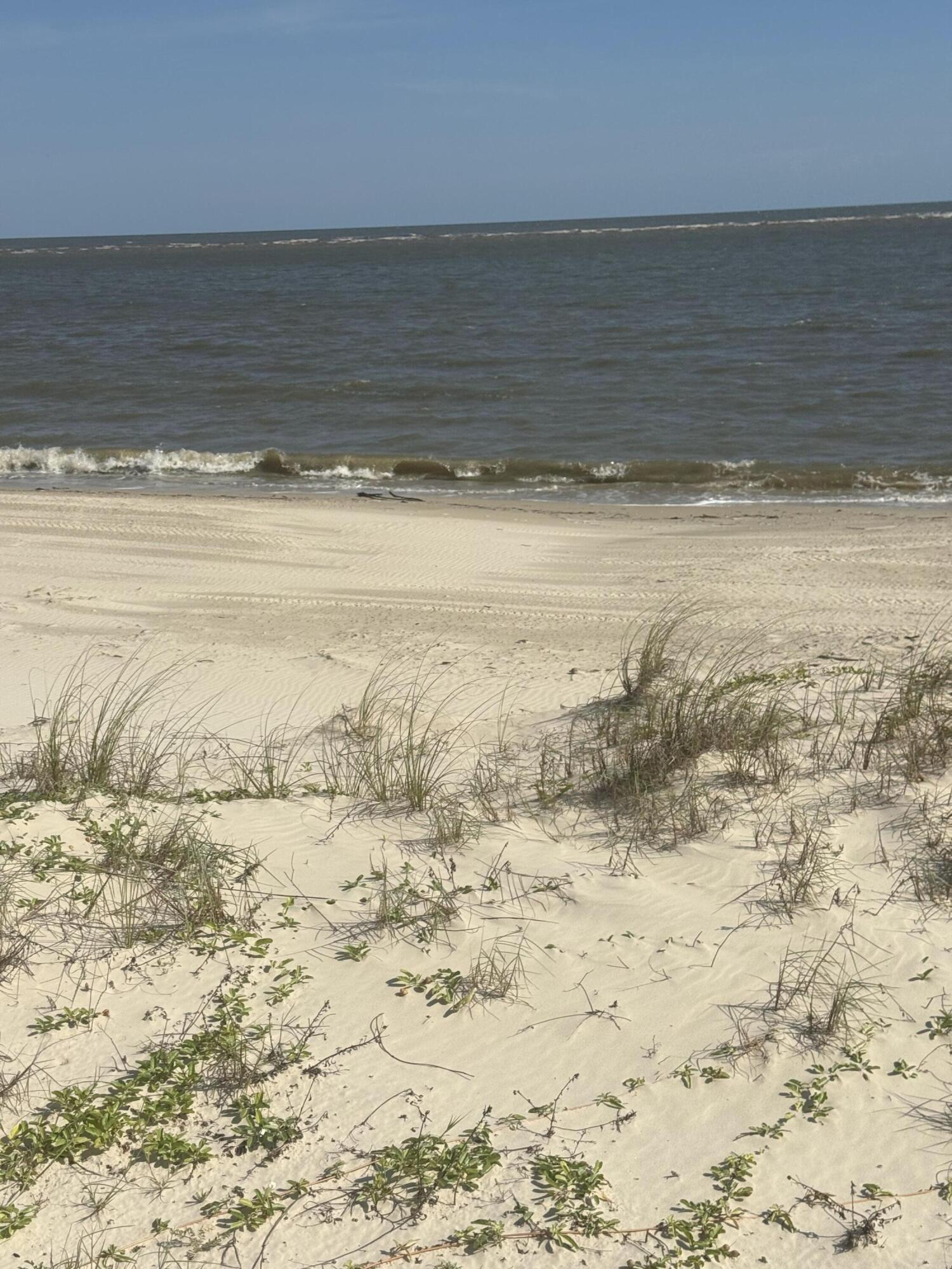 Indian Pass Preserve - Land