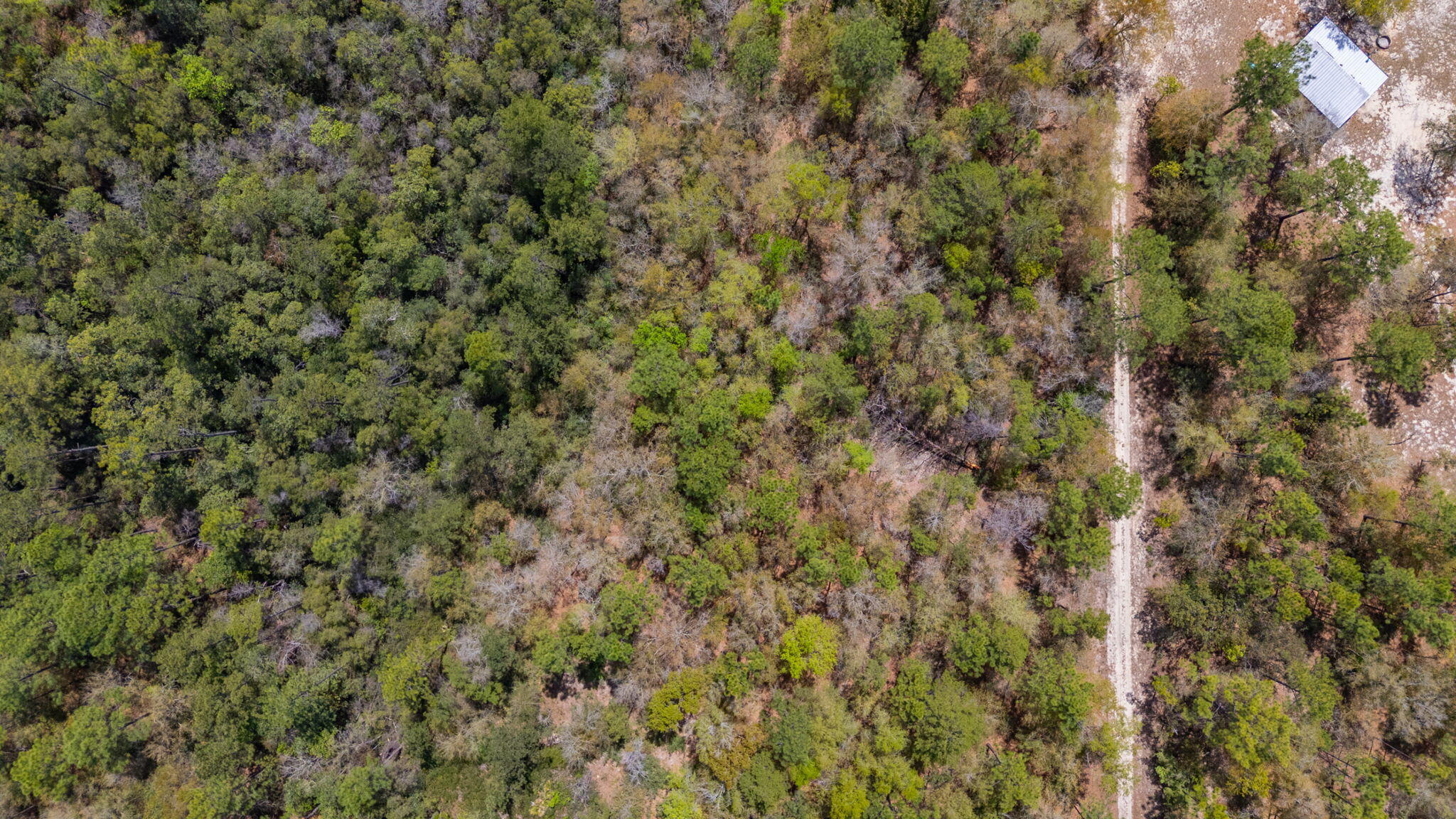 UNRECORDED SUBDIVISION - Land
