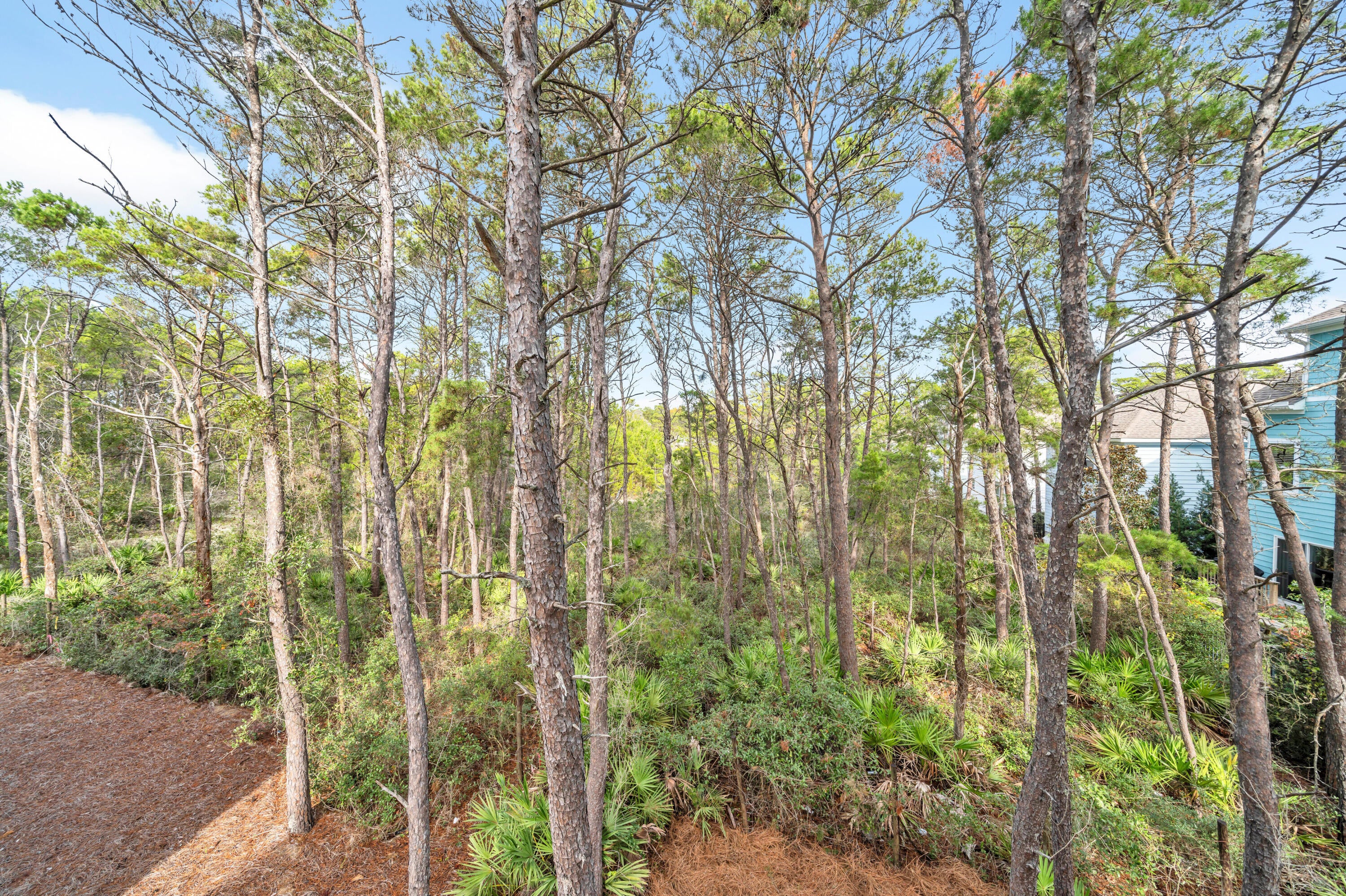 Ivy at Inlet Beach - Residential