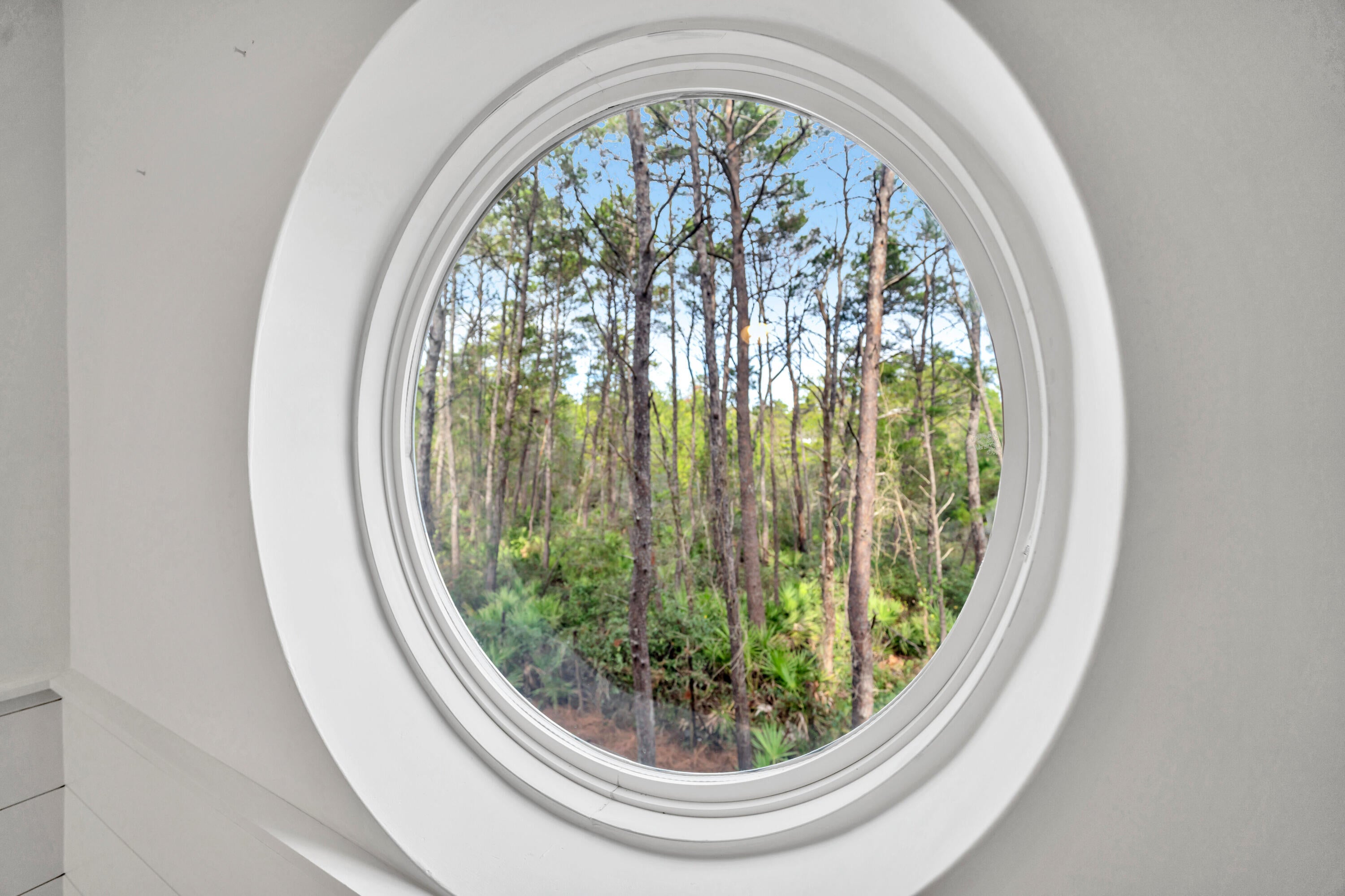 Ivy at Inlet Beach - Residential