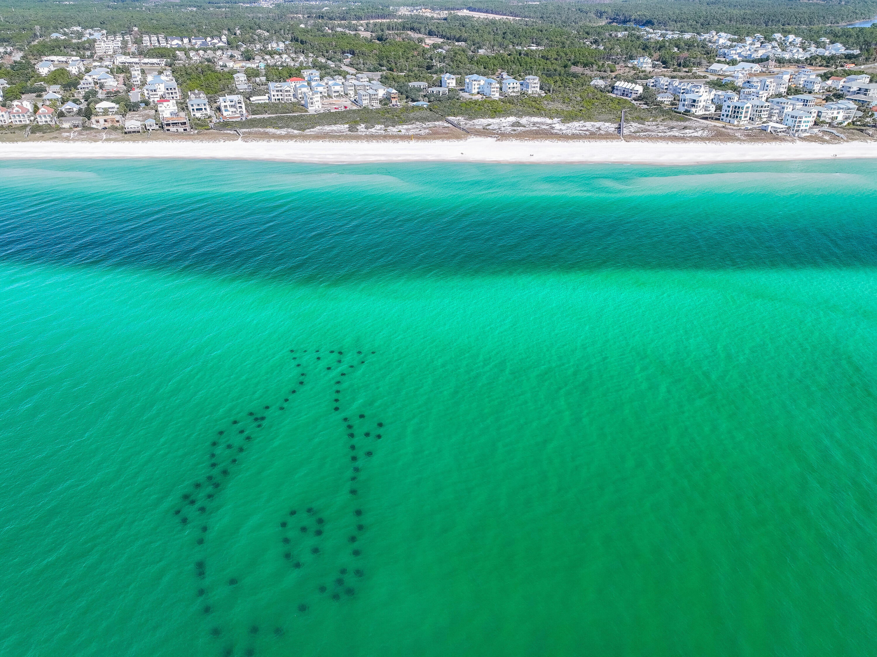 Ivy at Inlet Beach - Residential