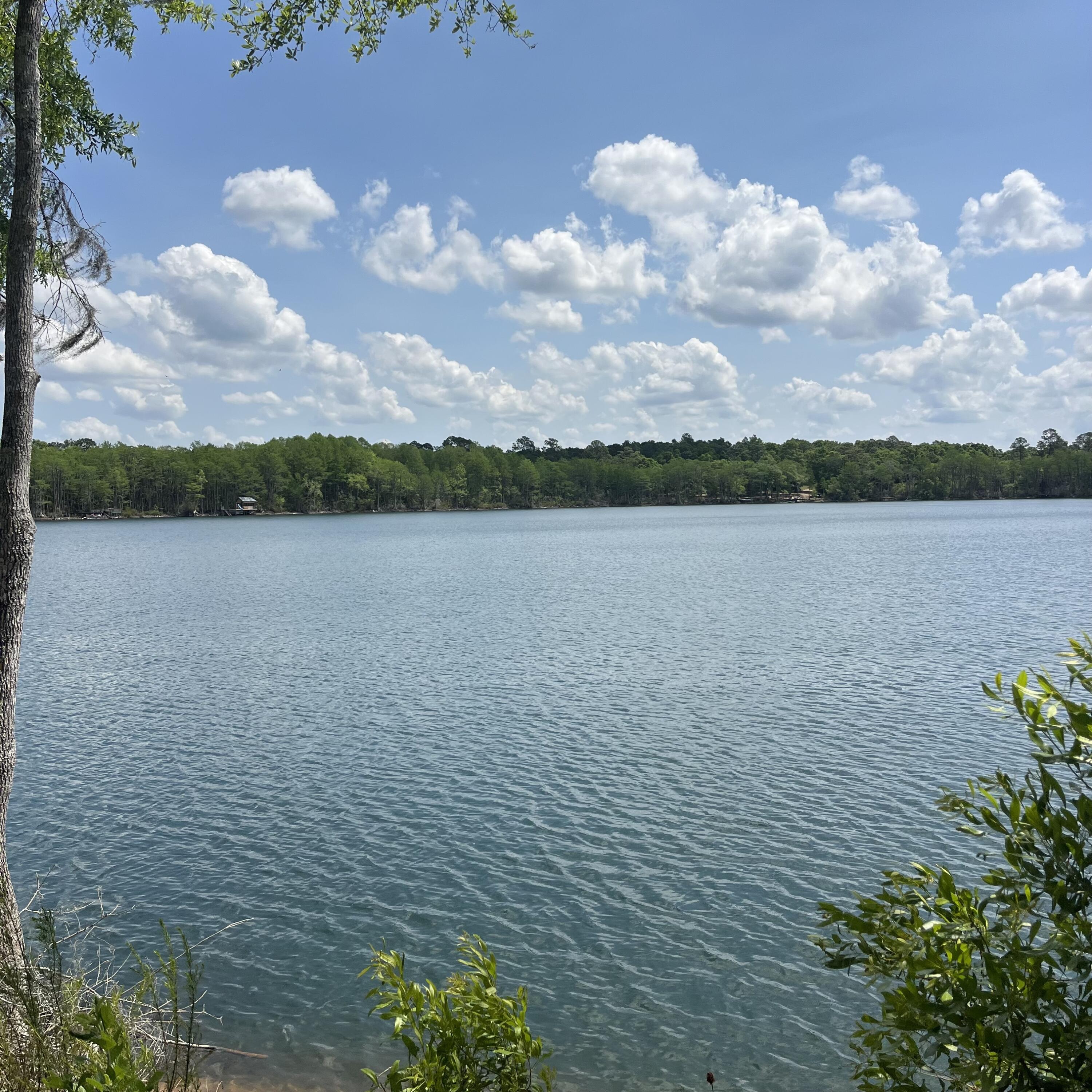 Escape to this serene lakefront .40 Acreage Lot in Blue Pond Subdivision, Ponce de Leon, Florida. Surrounded by lush nature and offering wonderful seclusion, this peaceful property sits on a beautiful spring-fed lake known for its clear waters, fishing, and swimming.
Enjoy abundant wildlife and tranquil waterfront living while remaining conveniently located. You'll be within an hour's drive of the sugar-white sandy beaches of the Gulf of Mexico, plus nearby Ponce de Leon Springs and other attractions.
Perfect for building your dream home or private retreat in one of Northwest Florida's best-kept secrets. Embrace the quiet, nature-rich lifestyle you've been searching for.