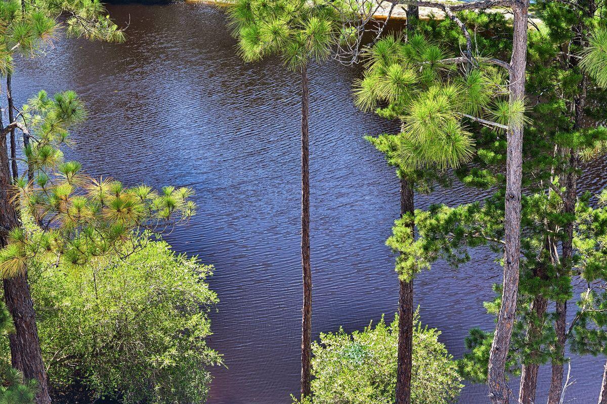 Forest Lakes - Residential